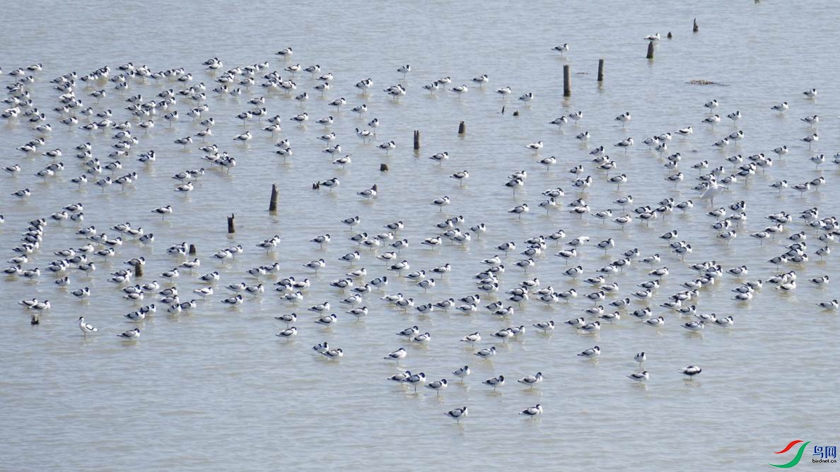 ������С P1130159.JPG