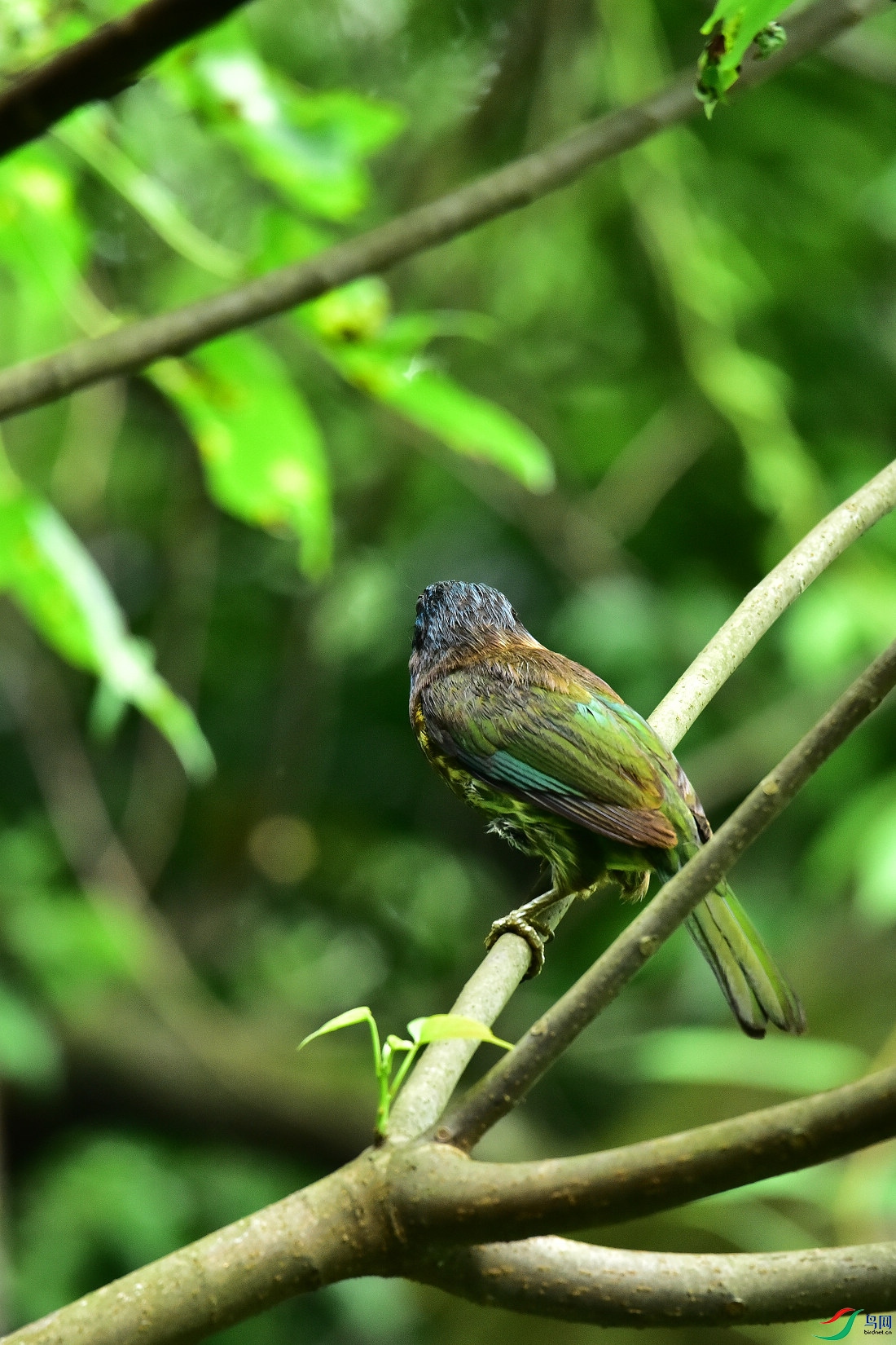 DSC_0887.JPG