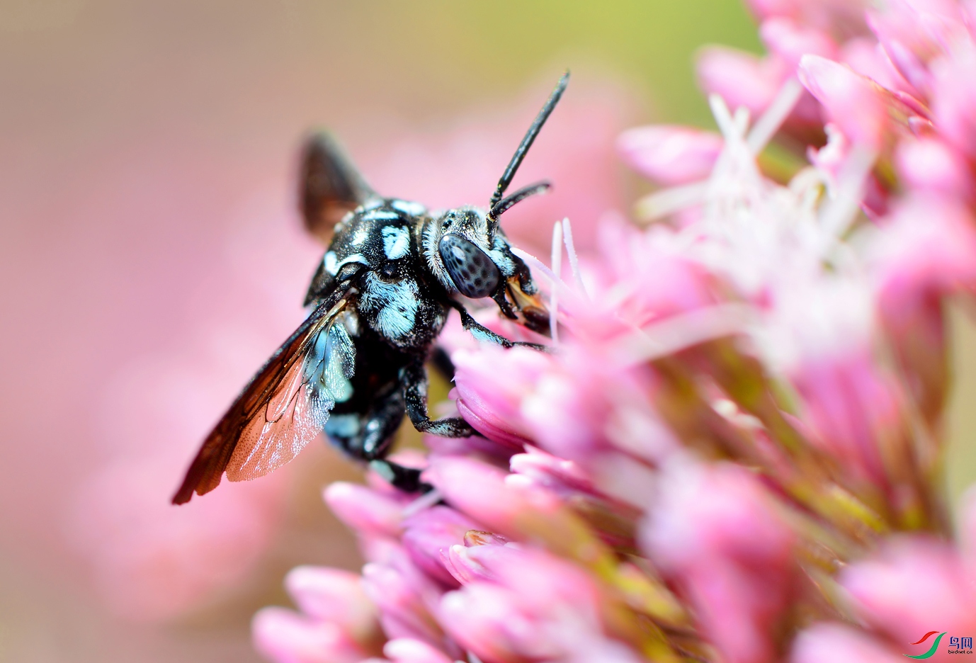 DSC_7154 ��������.jpg