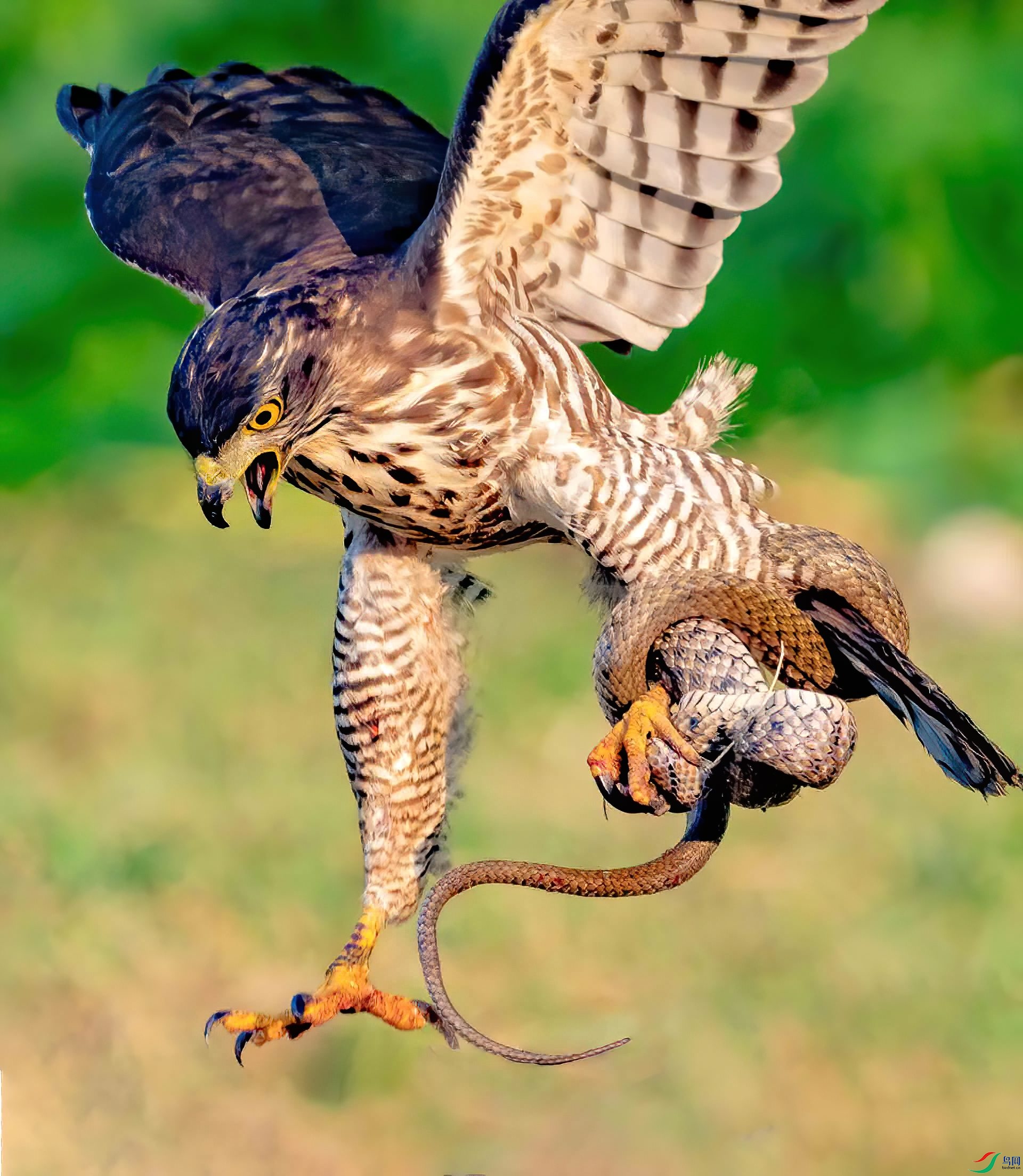 ����΢��2������-���ʹ��+����