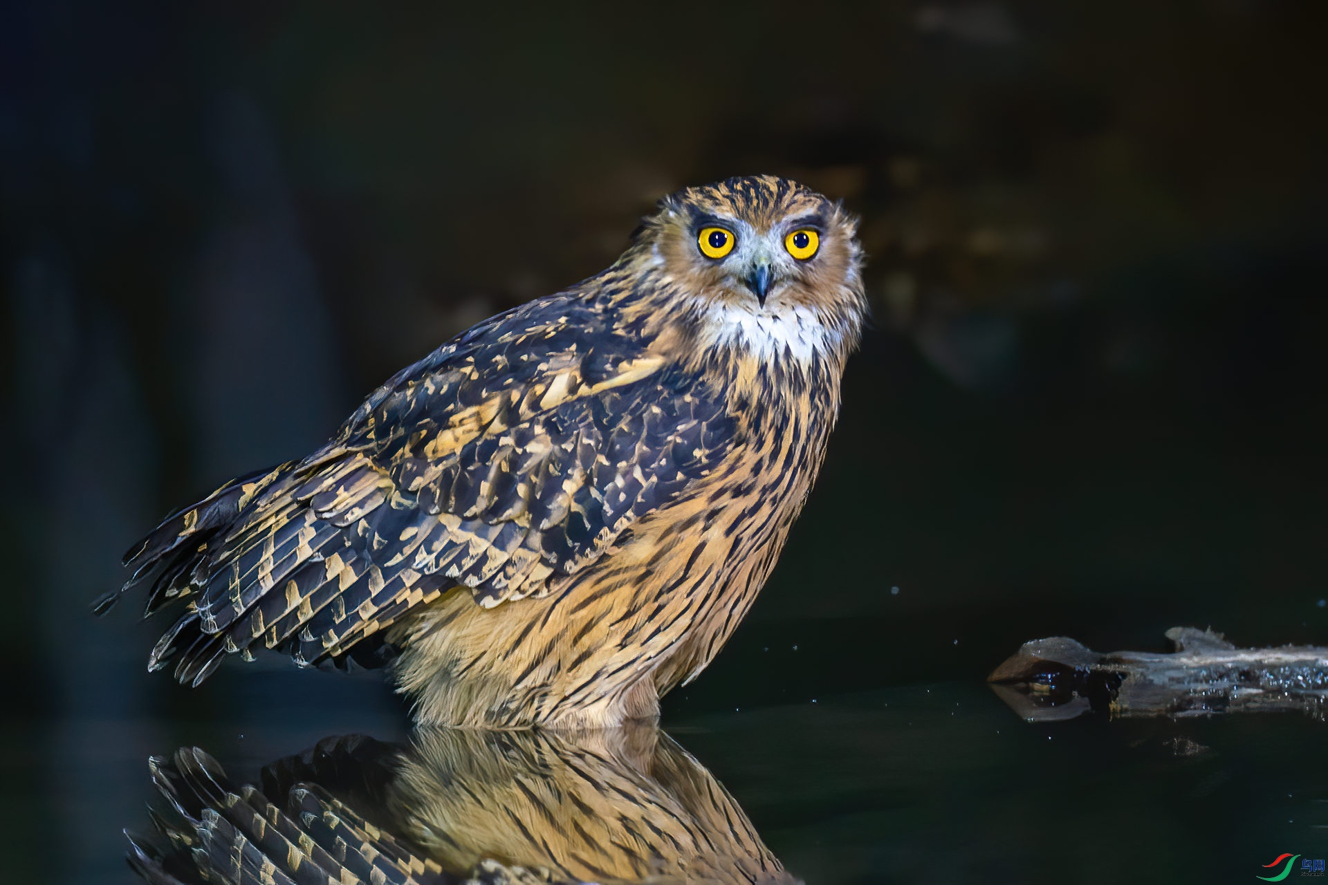 ����΢��2������-���ʹ��+����Ŀ��