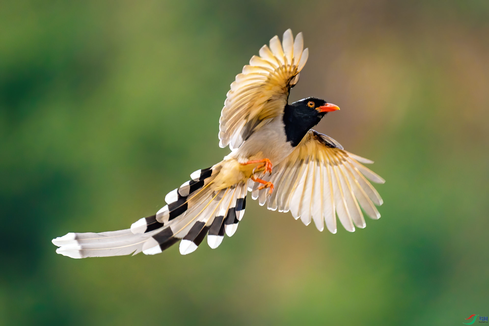 ����΢��2������-���ʹ��+�ڷ�