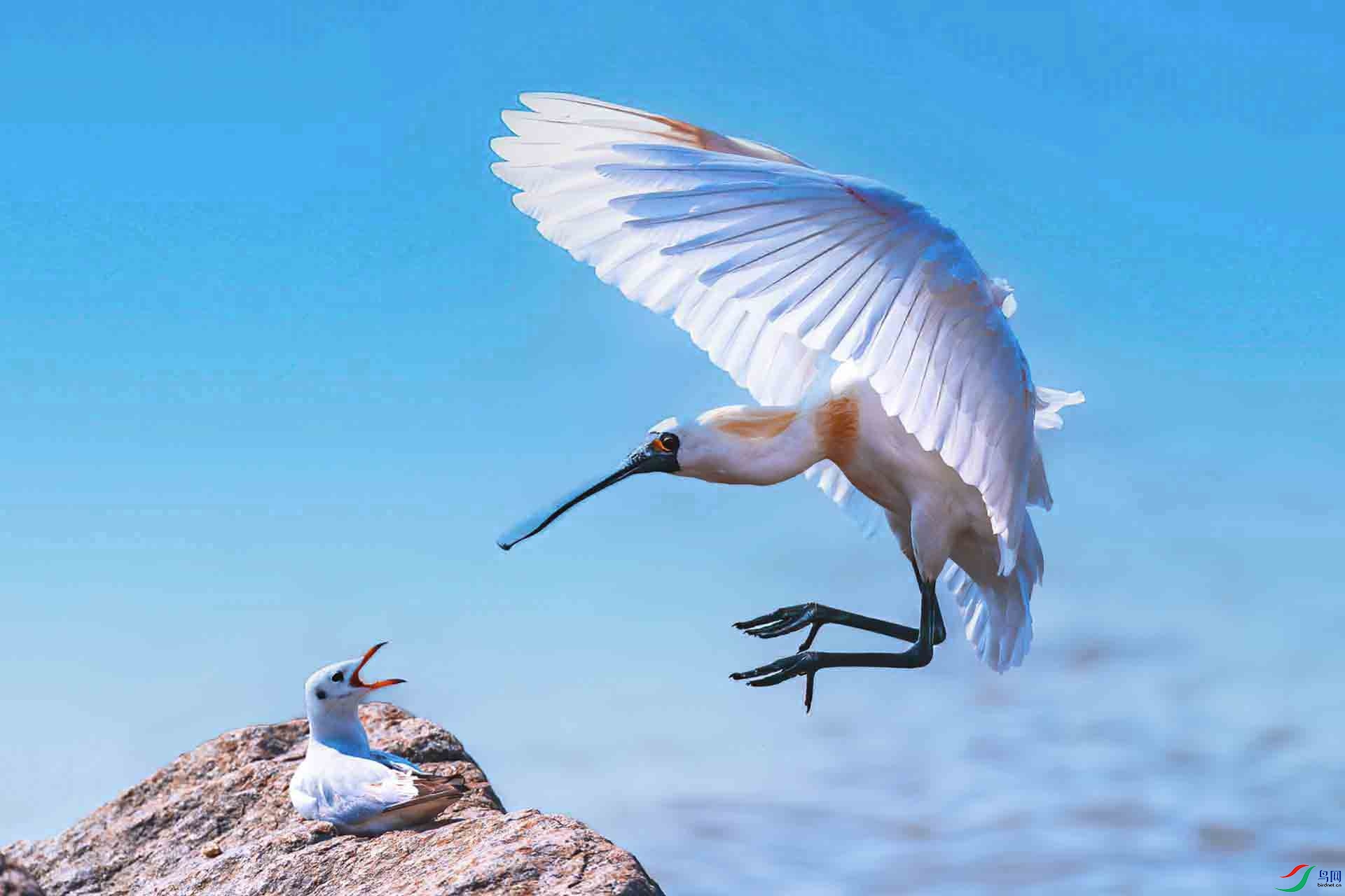 ����΢��2������-���ʹ��+�����