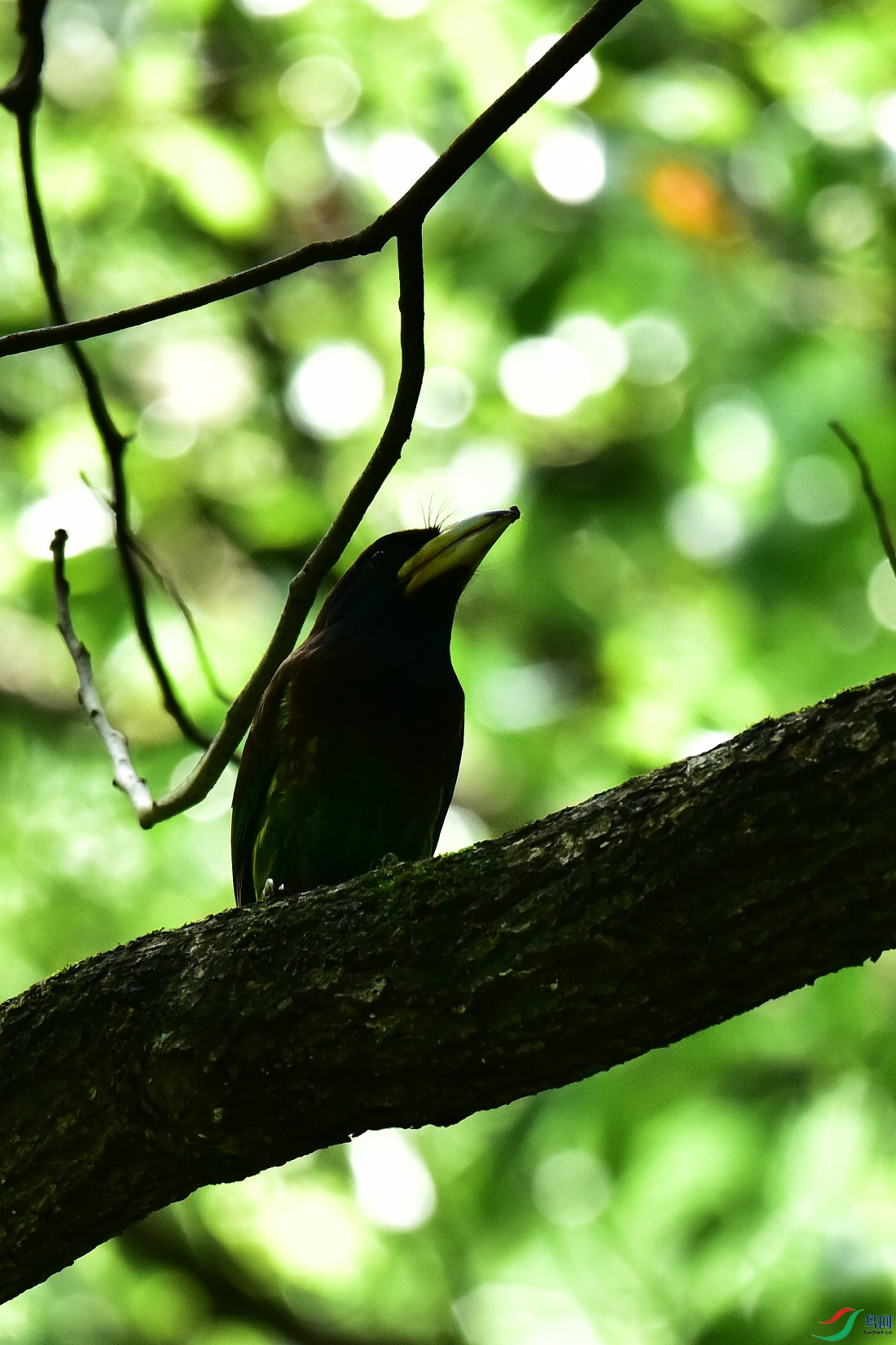 DSC_0889.JPG