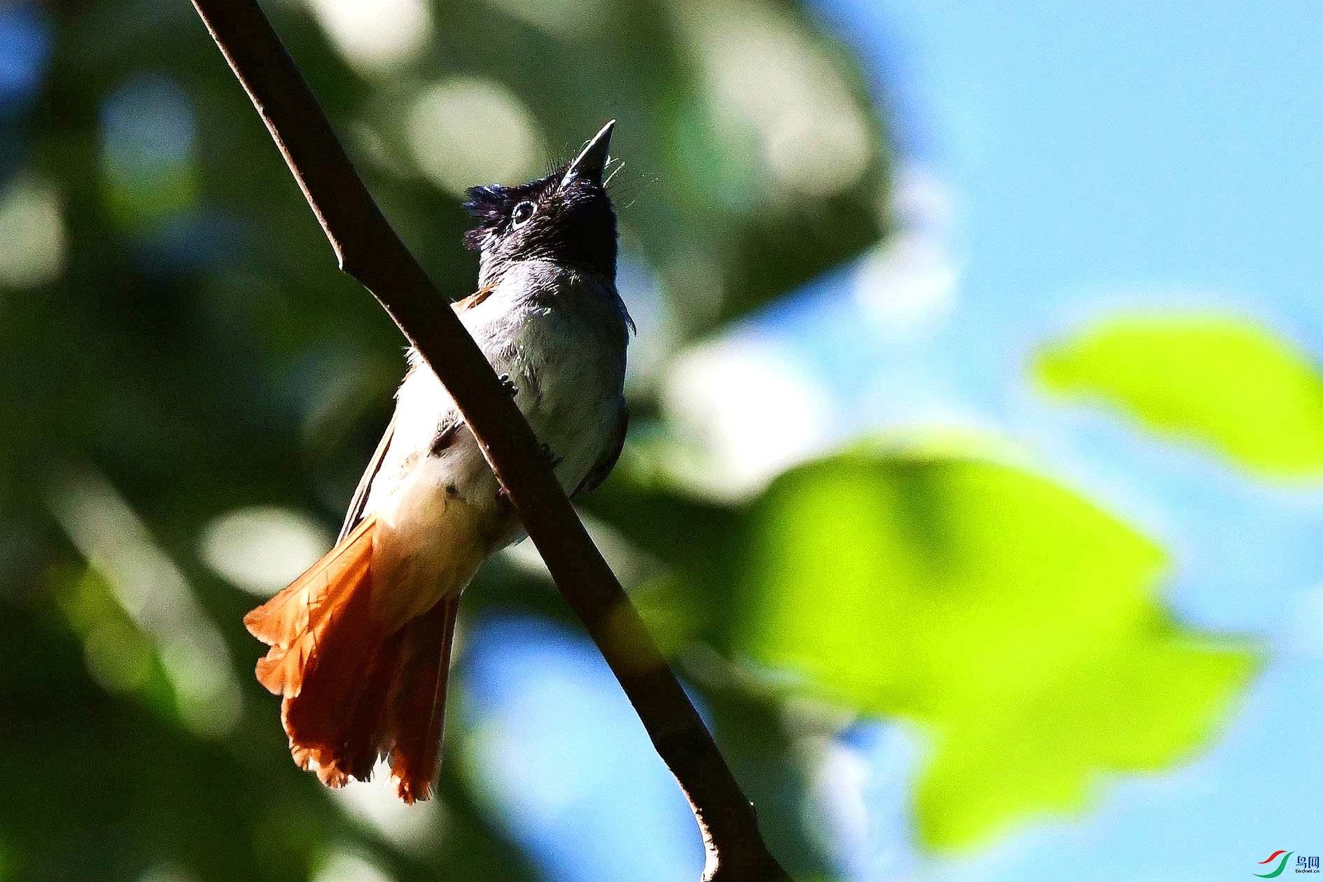 DSC_5778_����.jpg