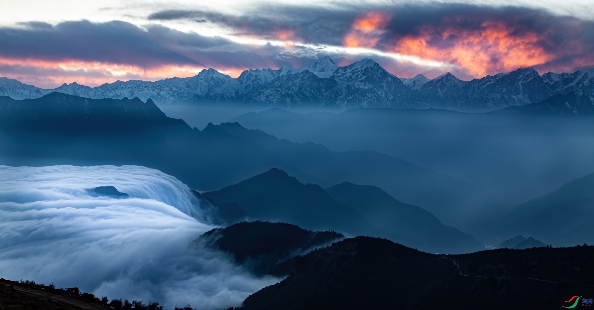 _MG_8213-denoise-denoise (1).jpg