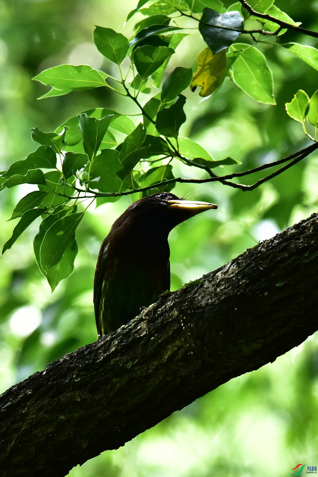DSC_0892.JPG