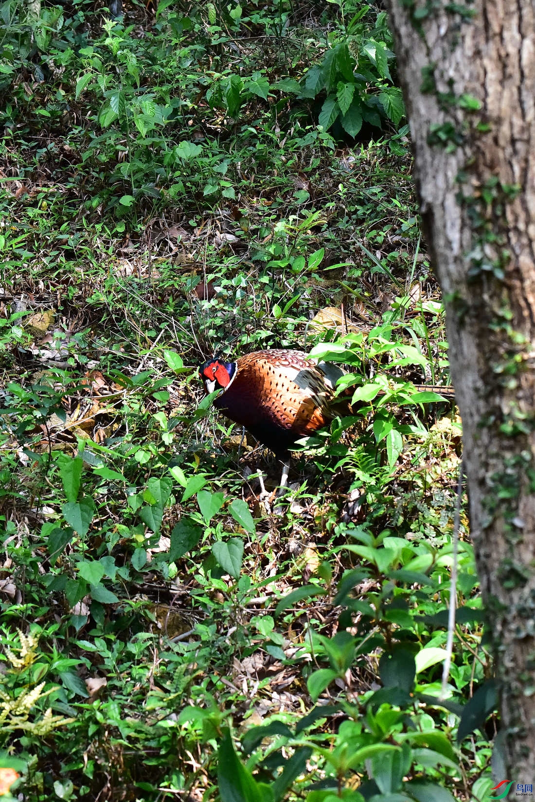 DSC_0191.JPG