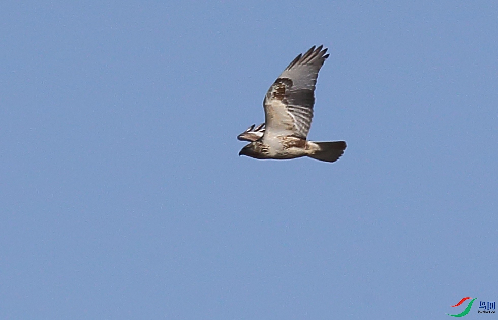 BU3W5533.JPG