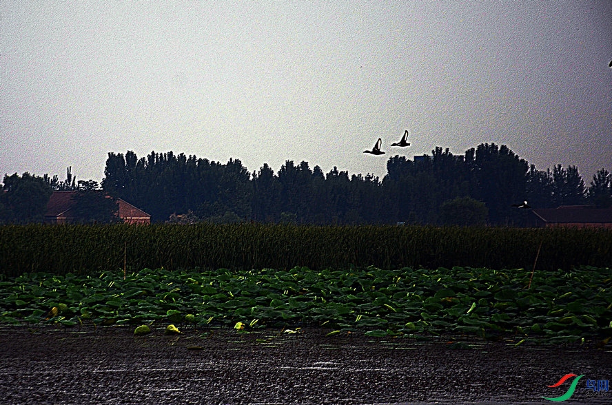 С�� 120_����1_����.jpg