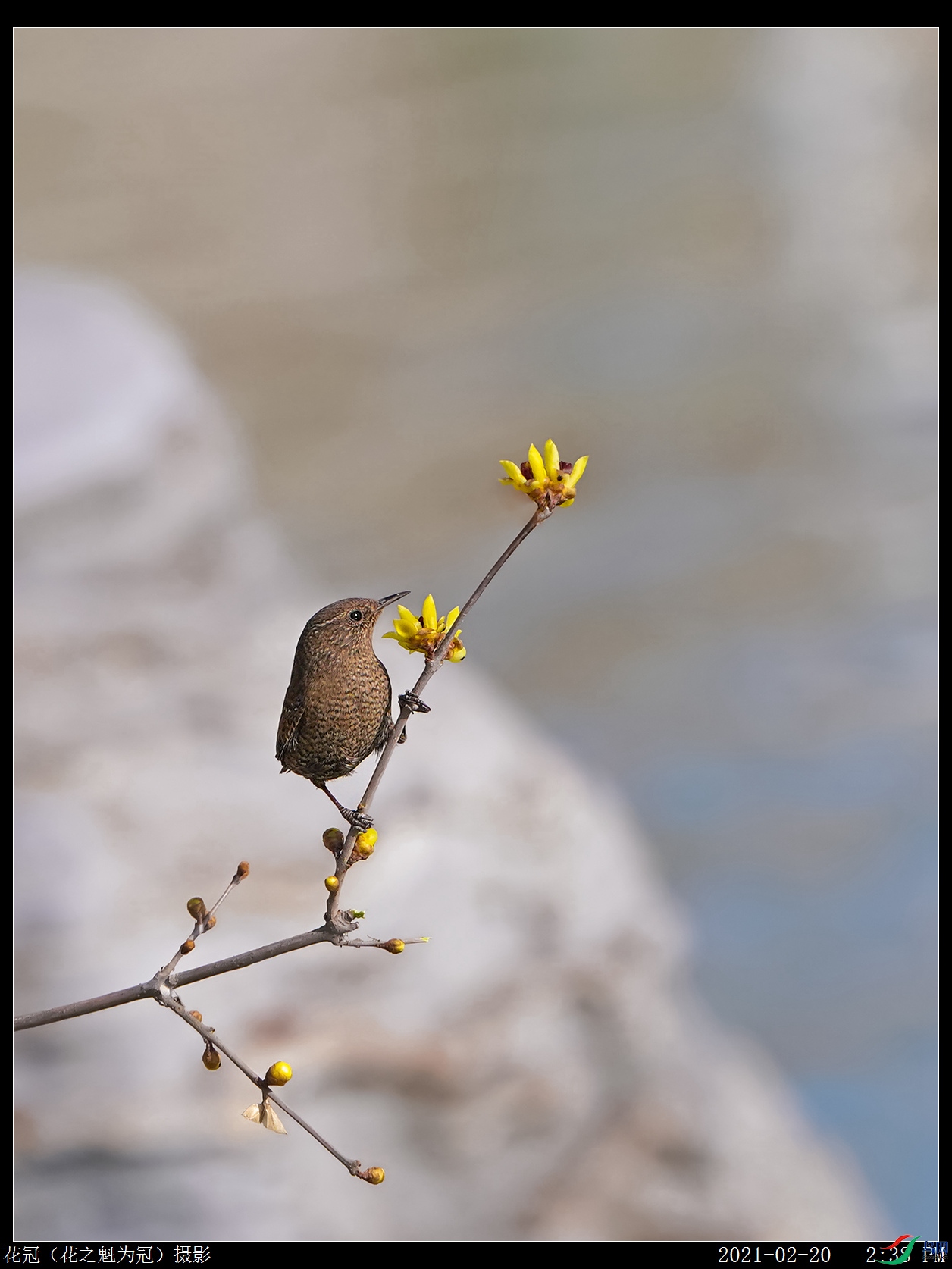 DSC08425B-2_����.jpg