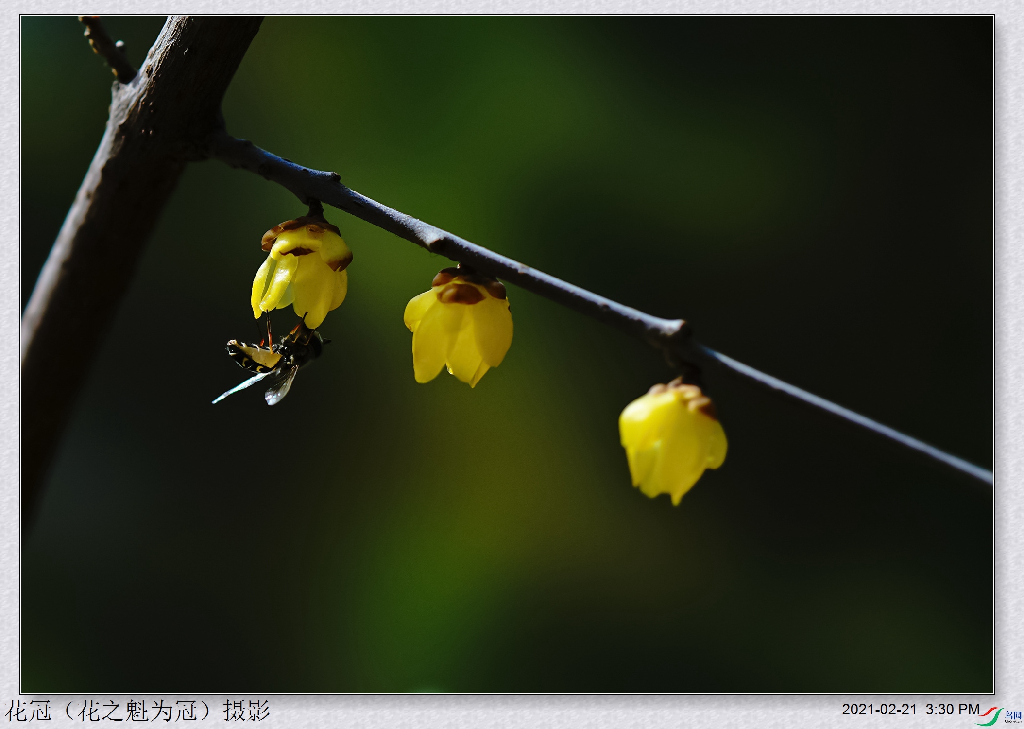 DSC03042B-1_����.jpg