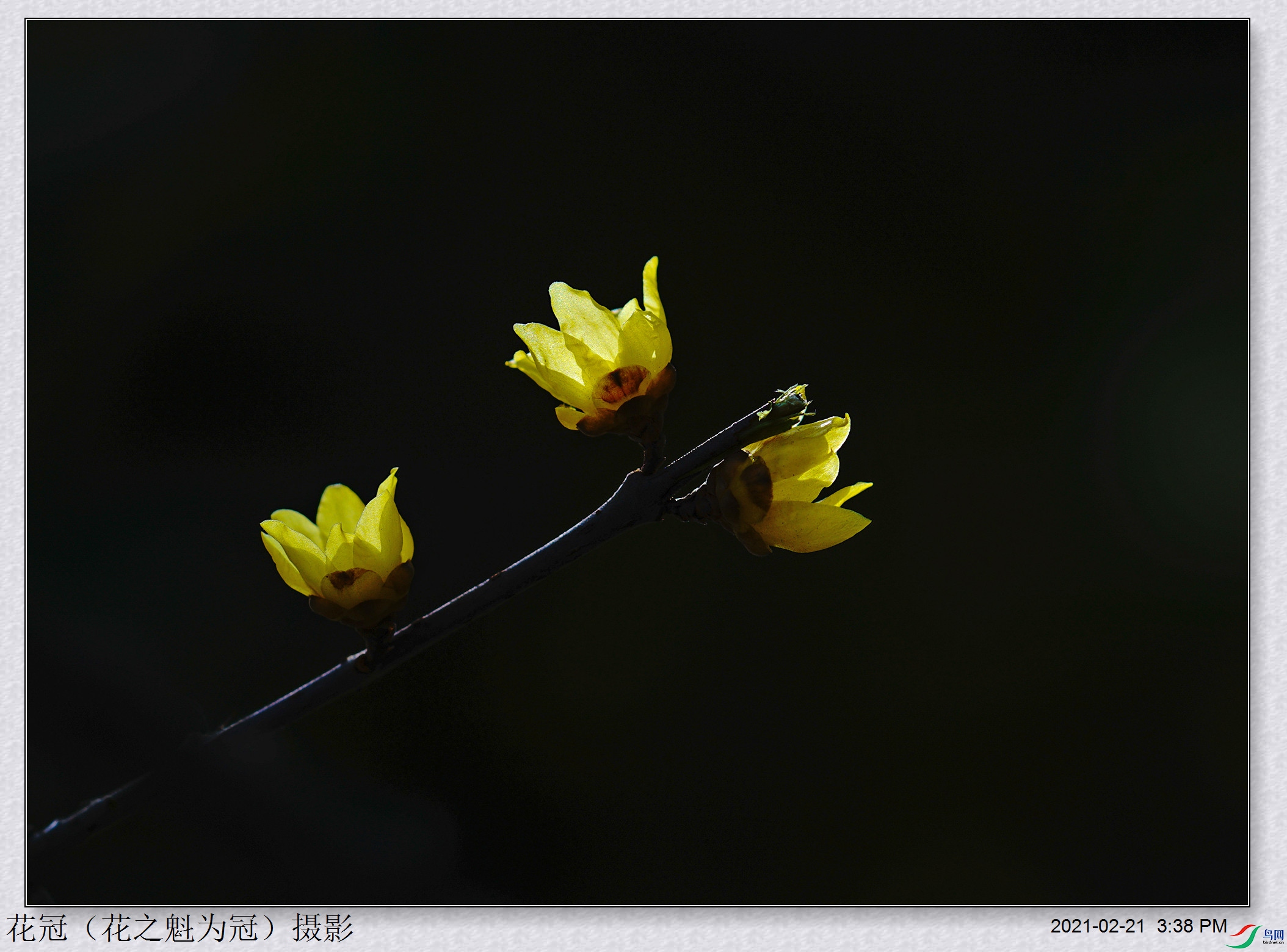 DSC03072B-1_����.jpg