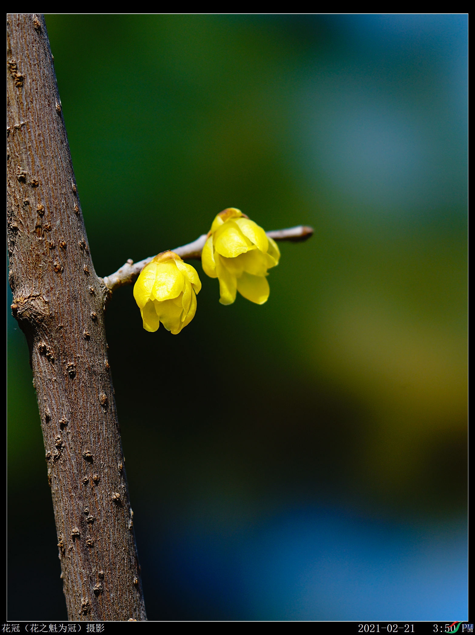 DSC03117B-1_����.jpg