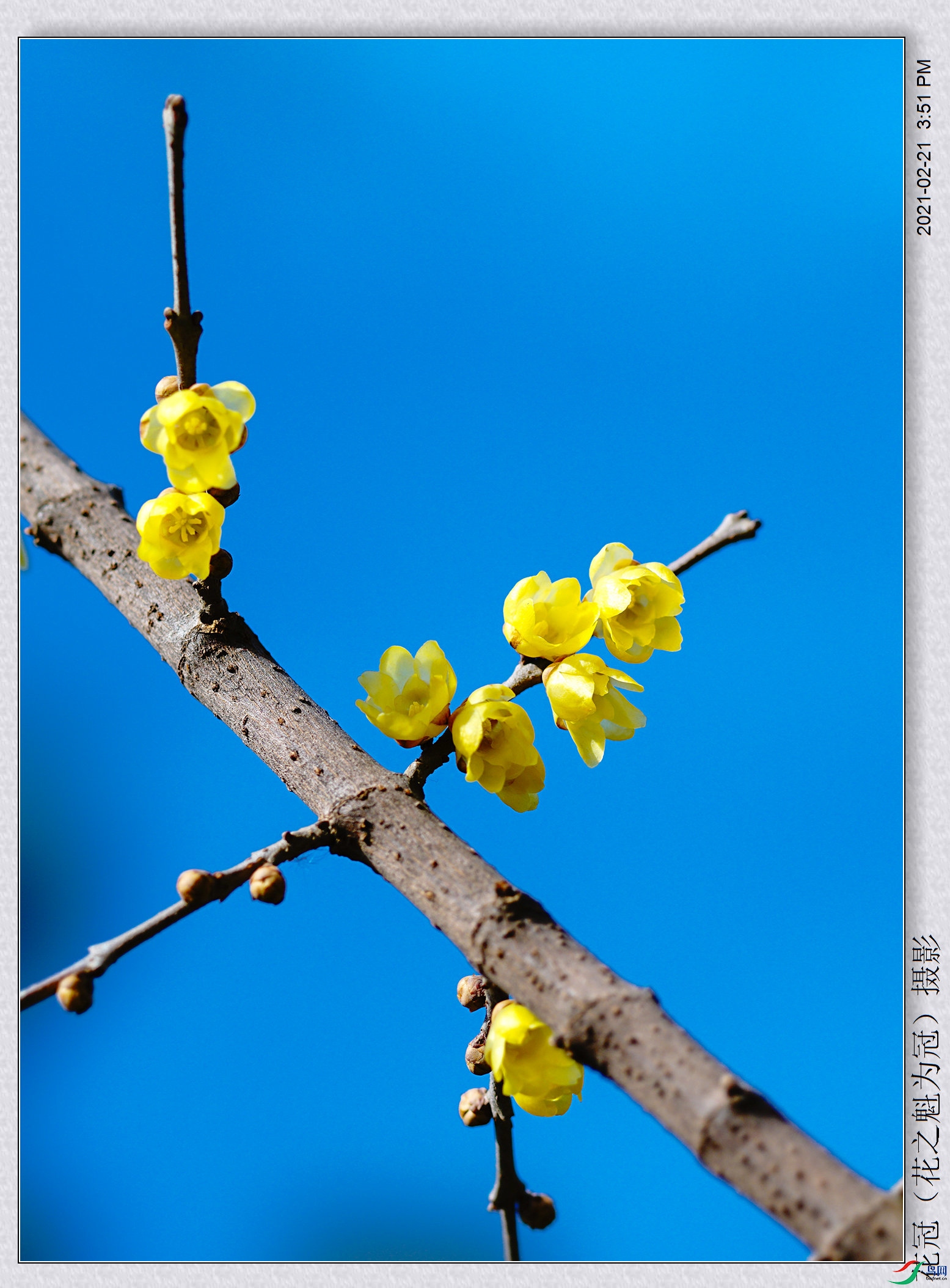 DSC03121B-1_����.jpg