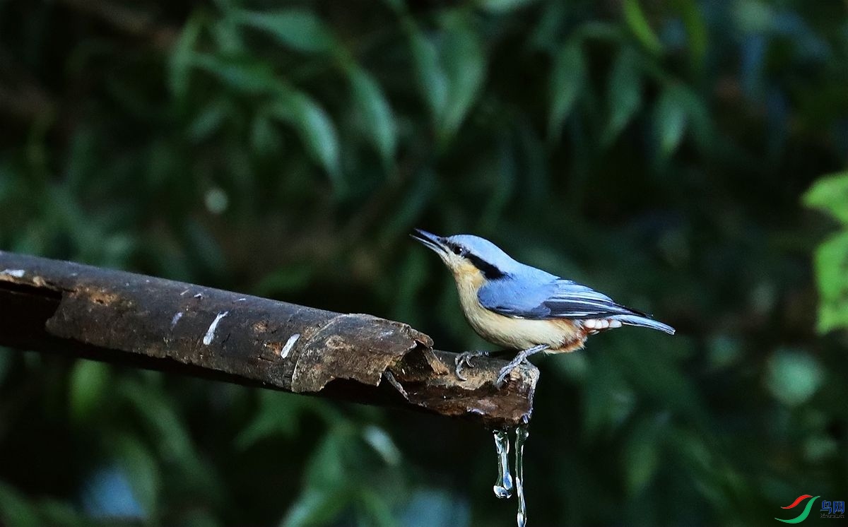 ���� 105.jpg