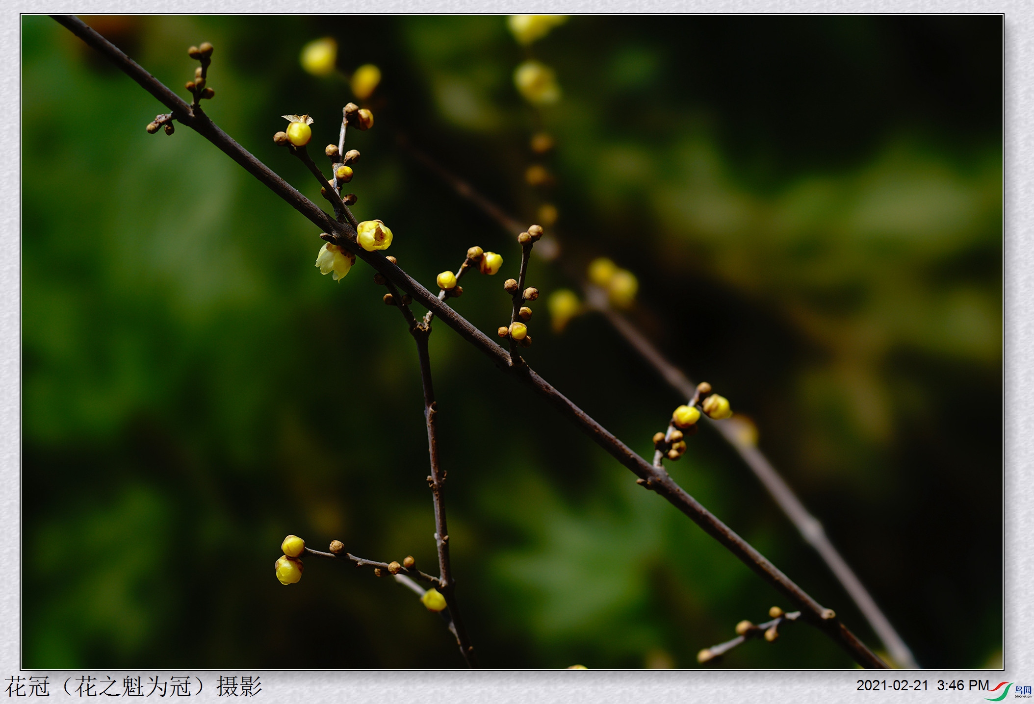 DSC03095B-1_����.jpg