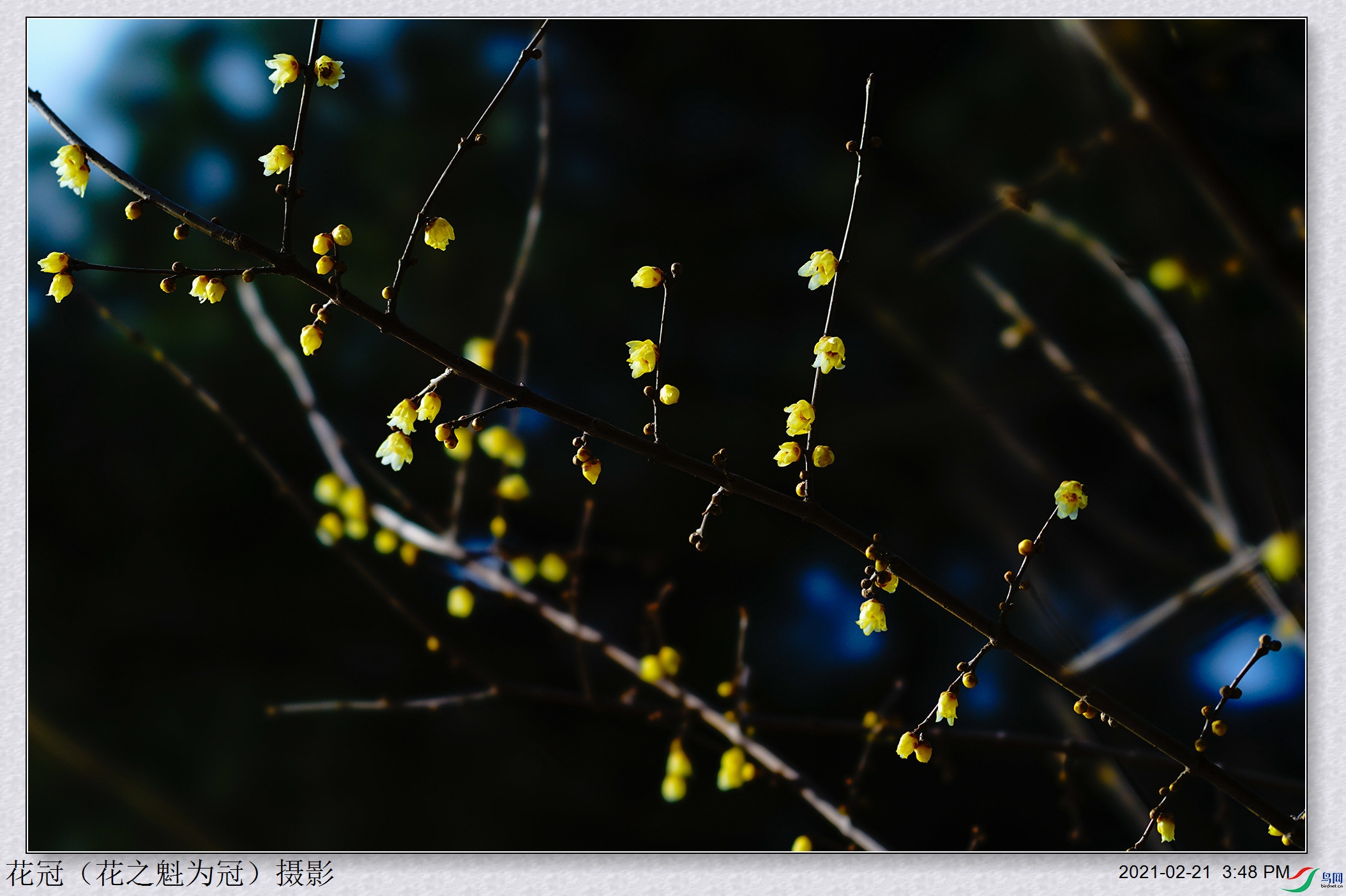 DSC03107B-1_����.jpg