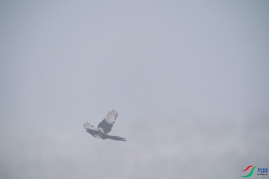 DSC00722.jpg