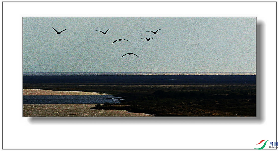 �� (3)_����_����.jpg