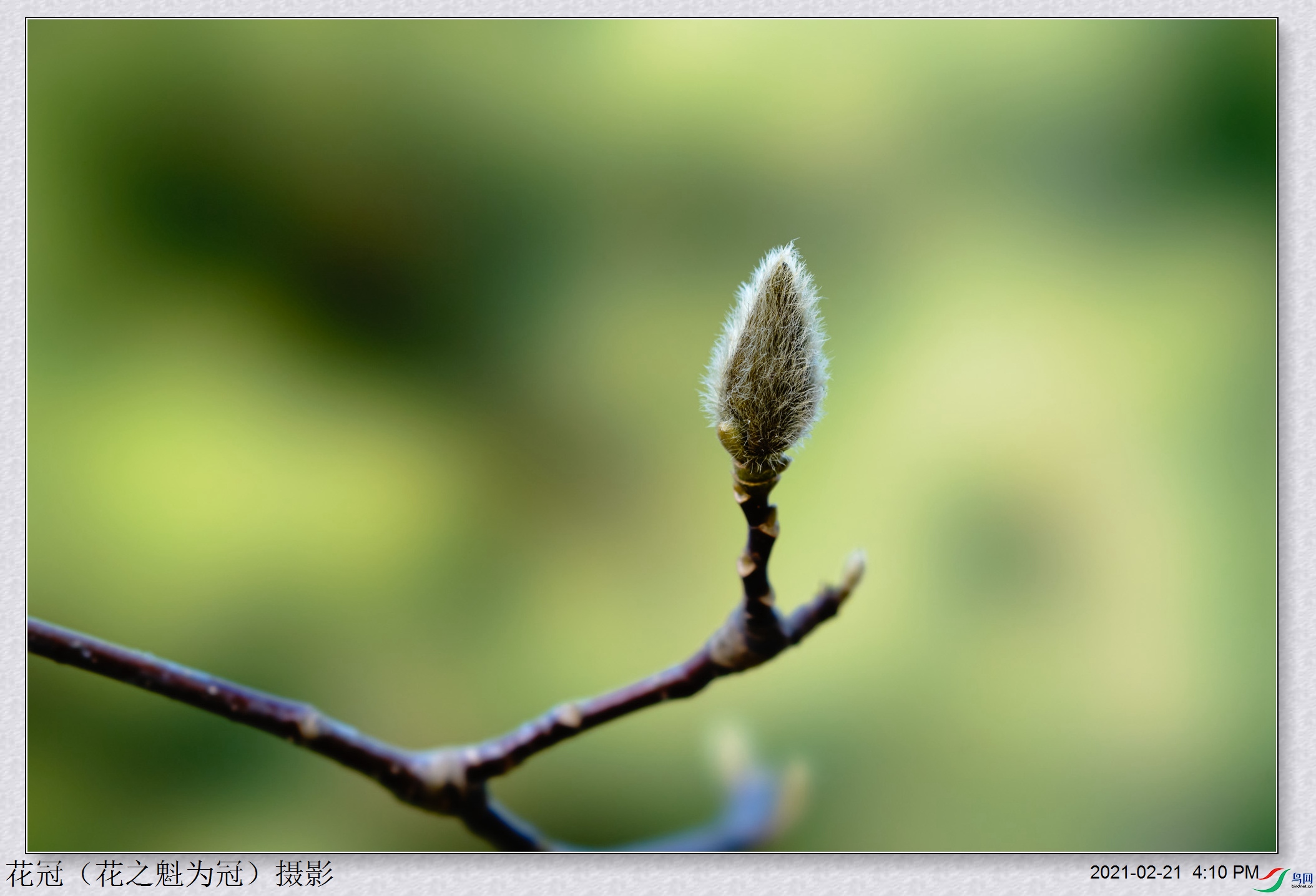 DSC03155B-1_����.jpg