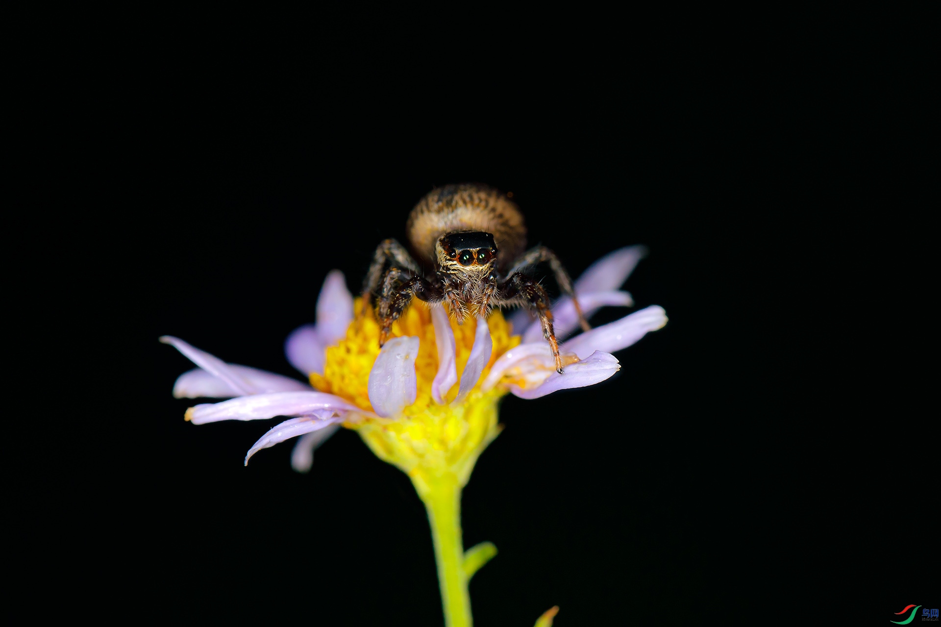 EC6A7542_����.jpg