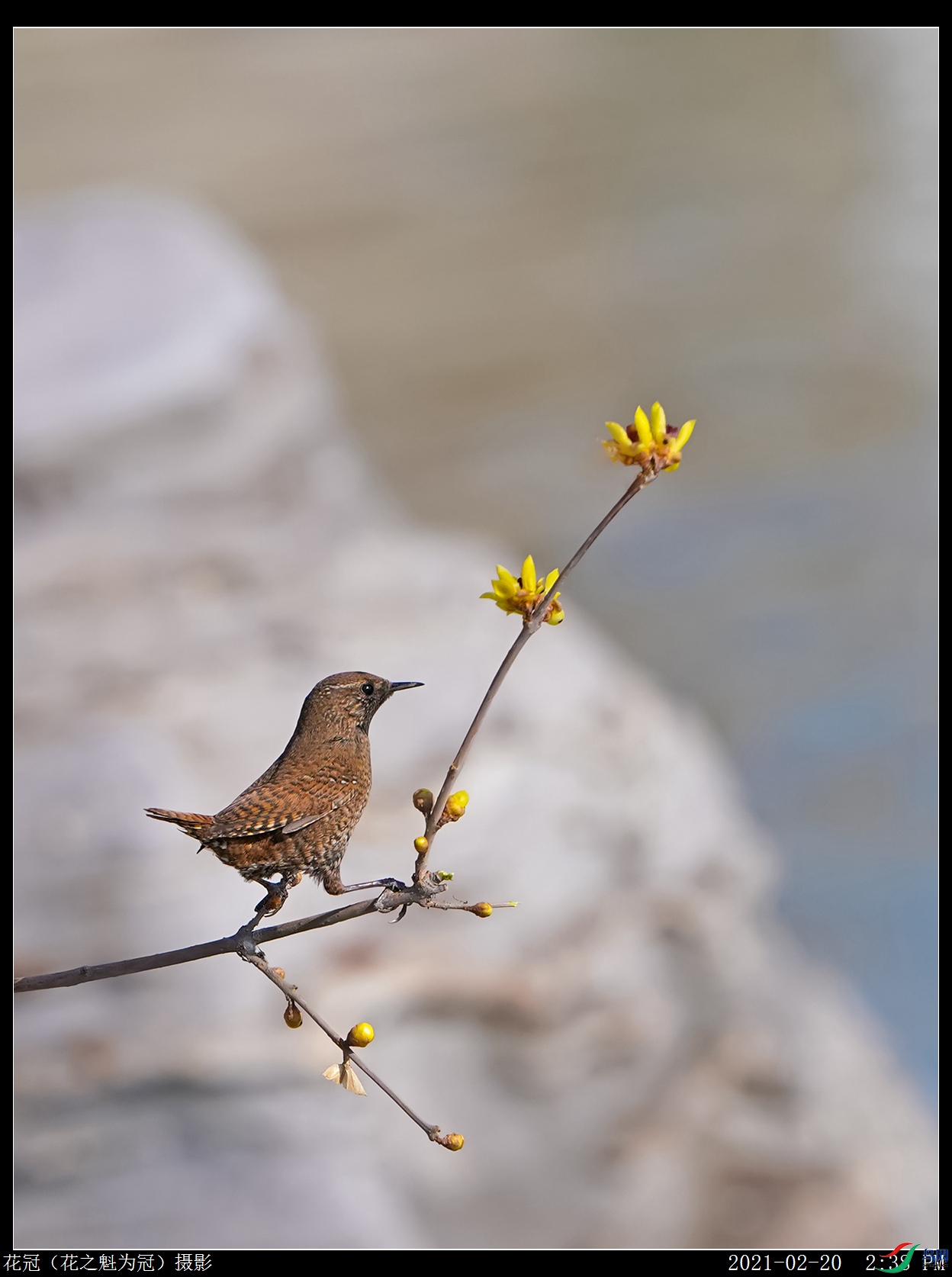 DSC08420B-2_����.jpg