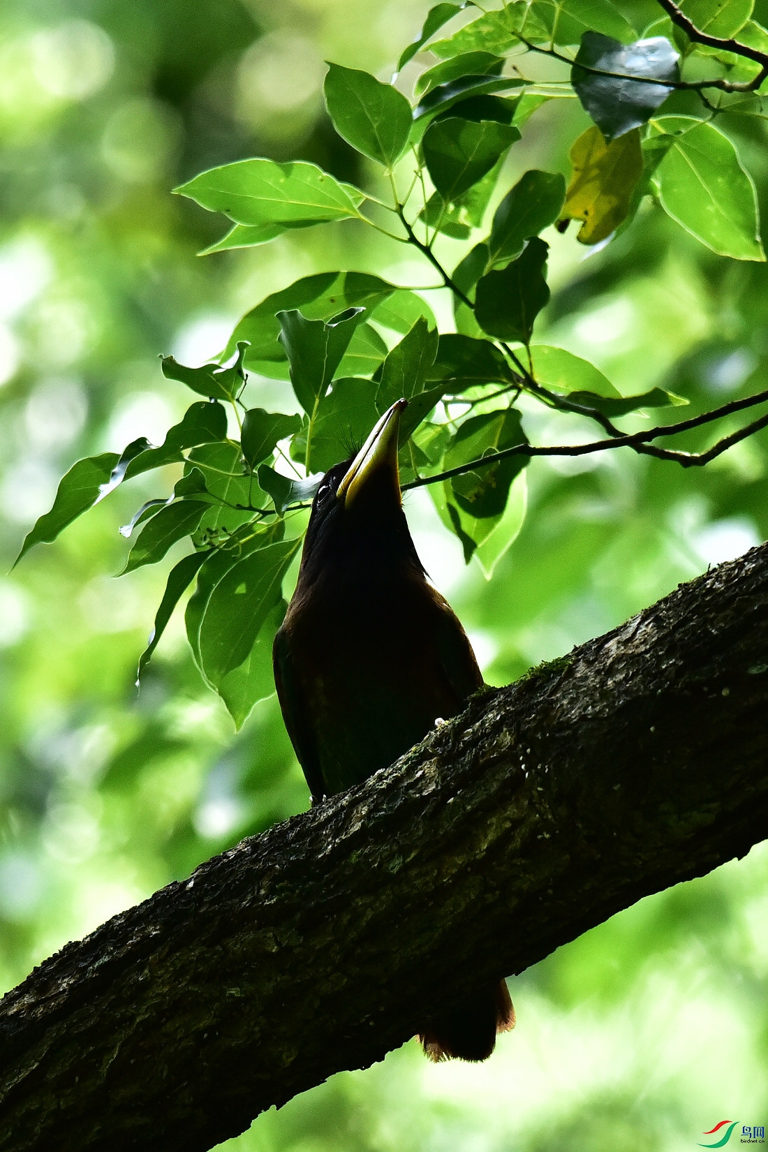 DSC_0894.JPG