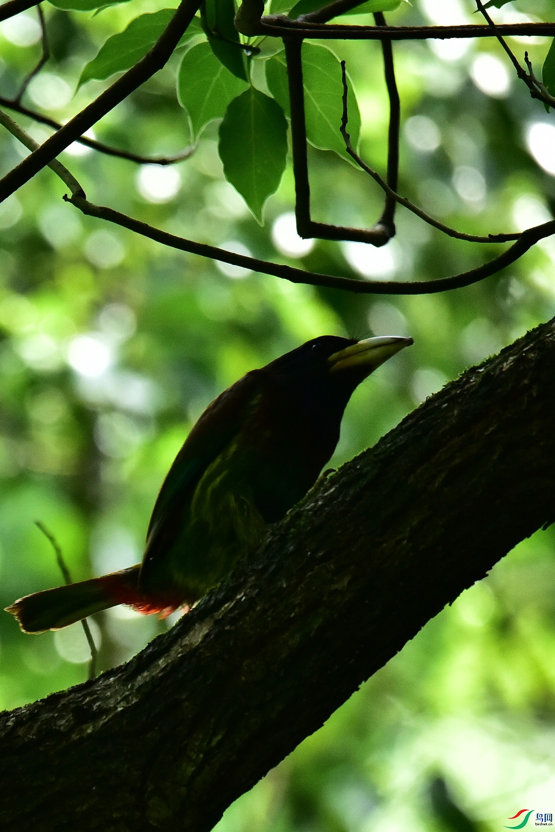 DSC_0896.JPG