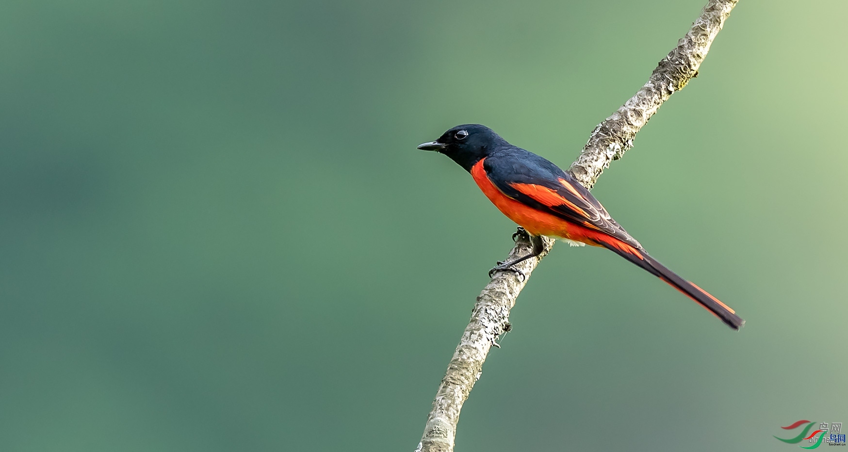 ��è��  ��ʦ�������Ĵ�ʡ�ɶ��� ������.jpg