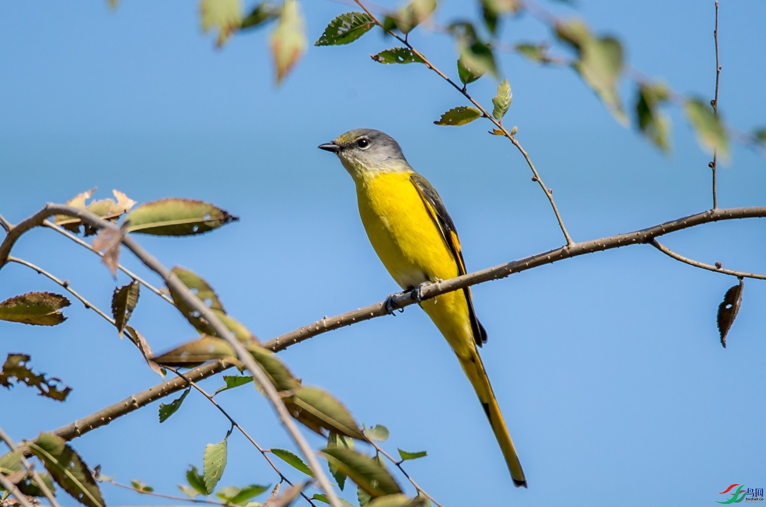 ��غ�һ  ��ʦ�����ںӱ�ʡʯ��ׯ��ƽɽ��0.jpg