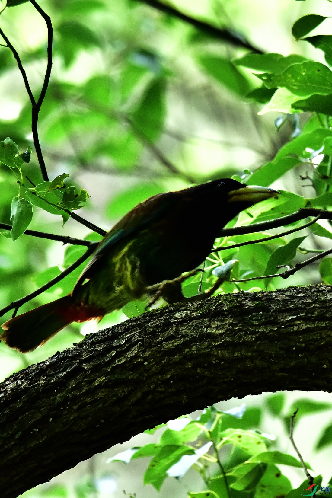 DSC_0897.JPG