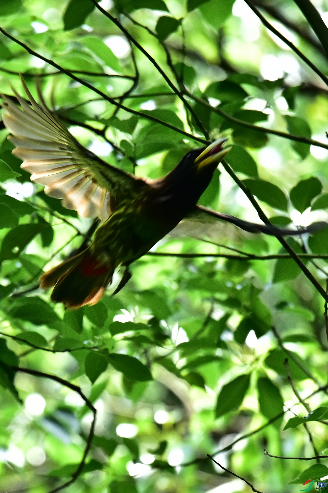 DSC_0898.JPG