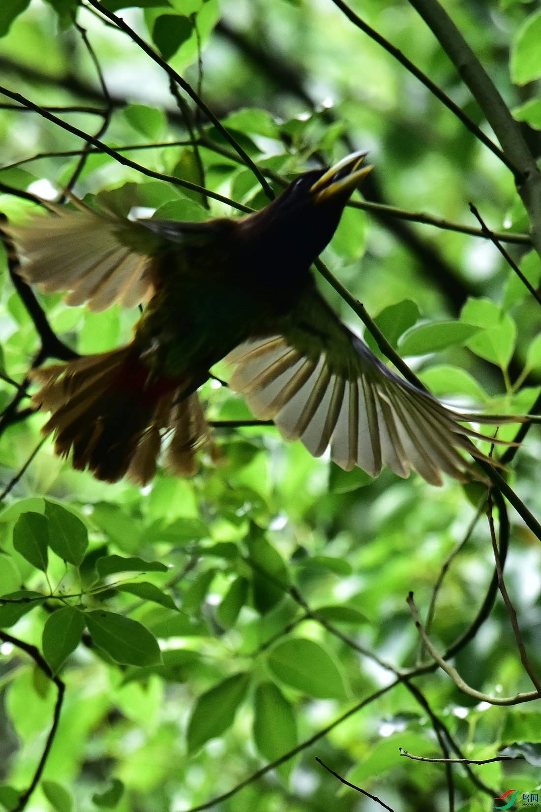 DSC_0899.JPG