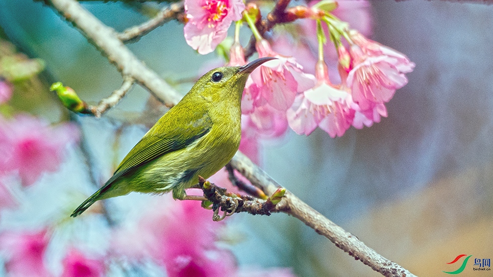 ��DSC_0358.jpg