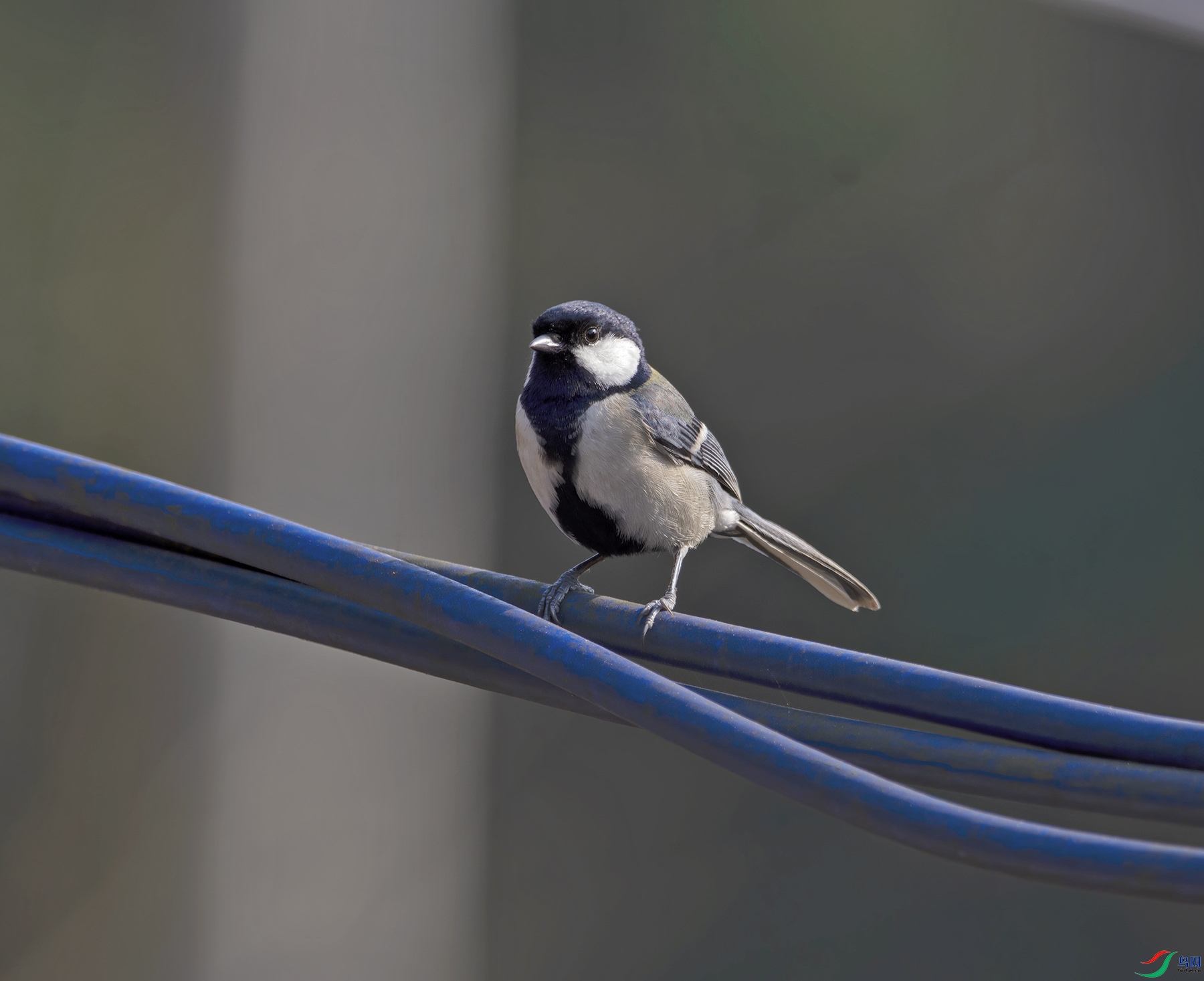 DSC_6405.jpg