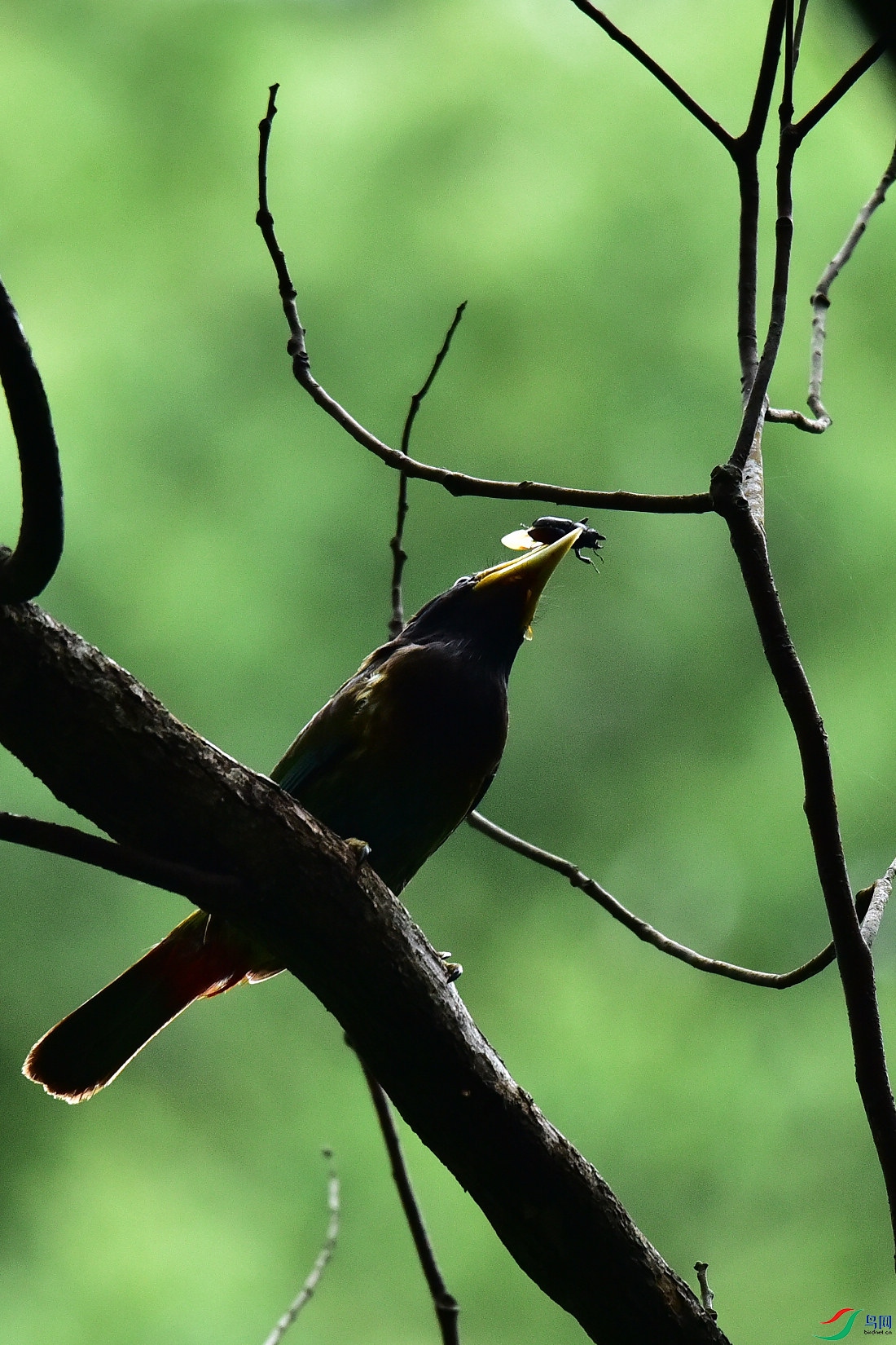 DSC_0902.JPG