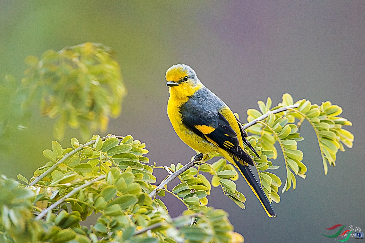 ����.jpg