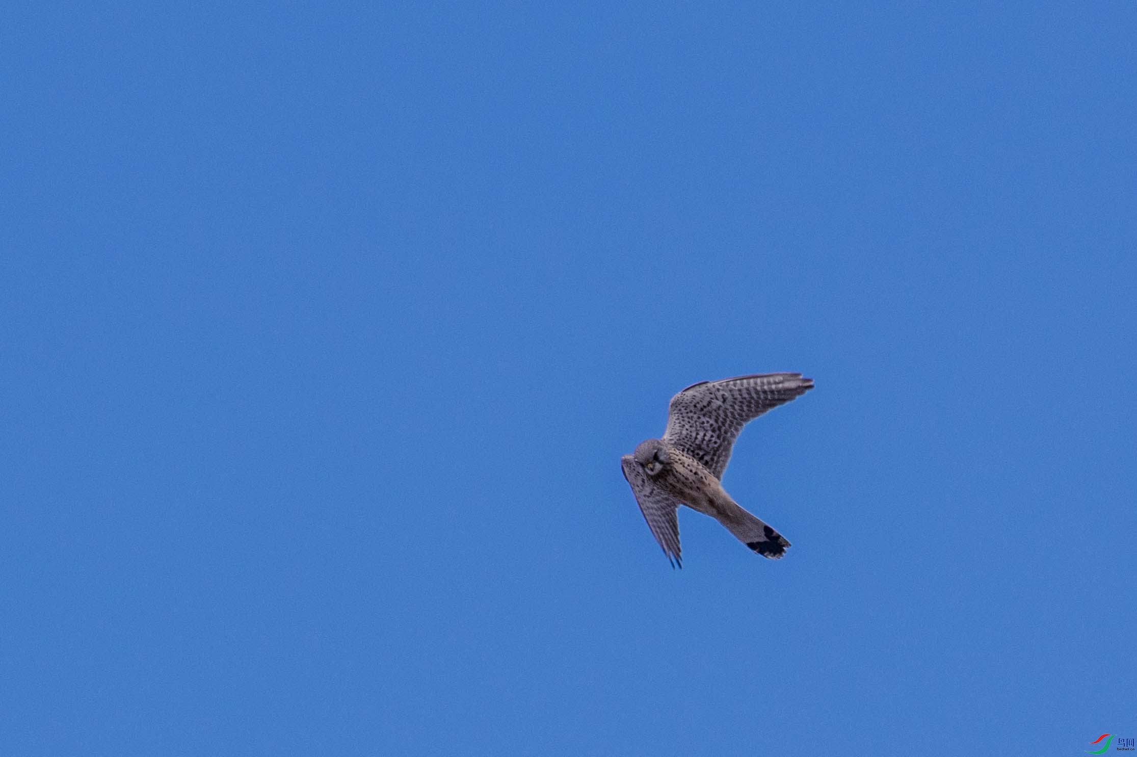 ���ɷ���2