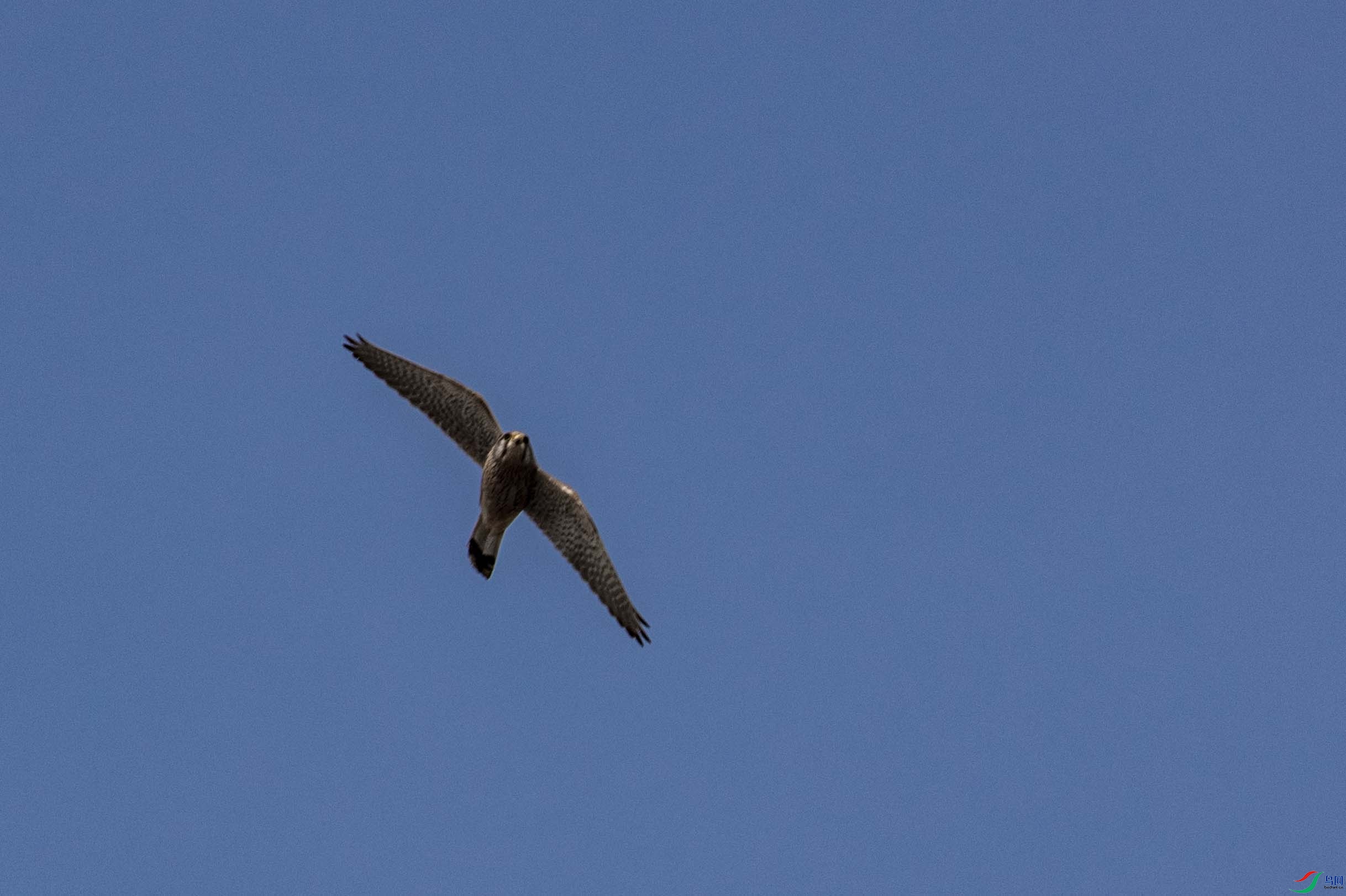 ���ɷ���4