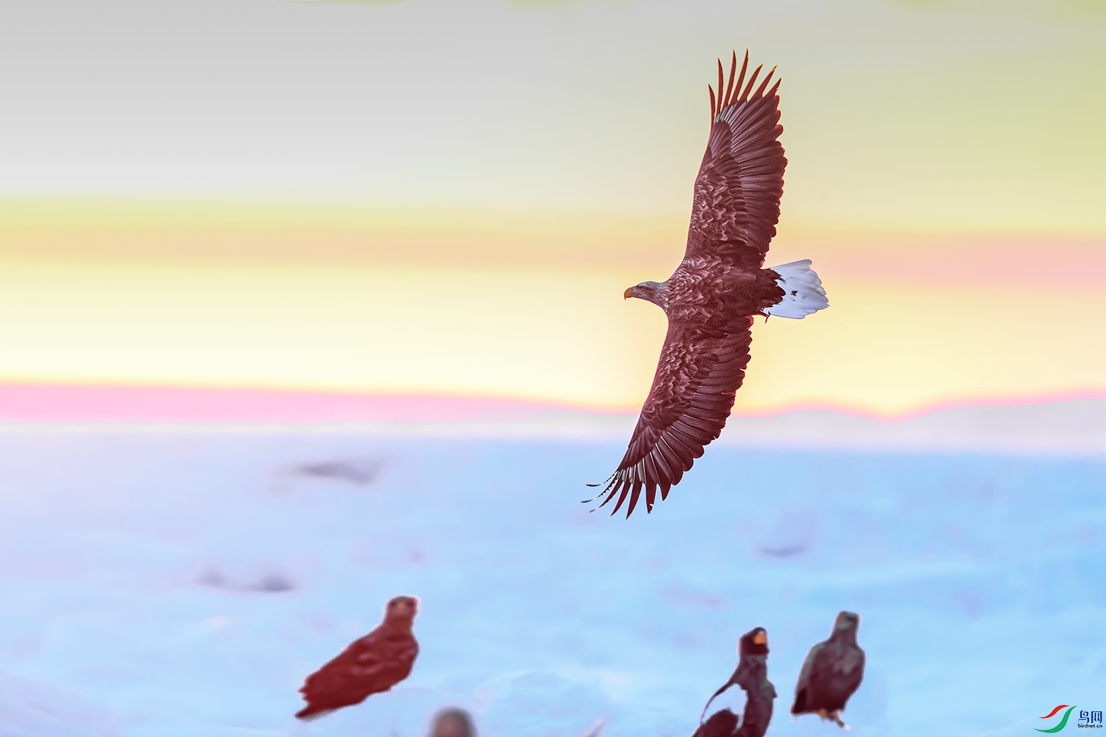 ��ϼ���ҷ�_M3I0187.jpg