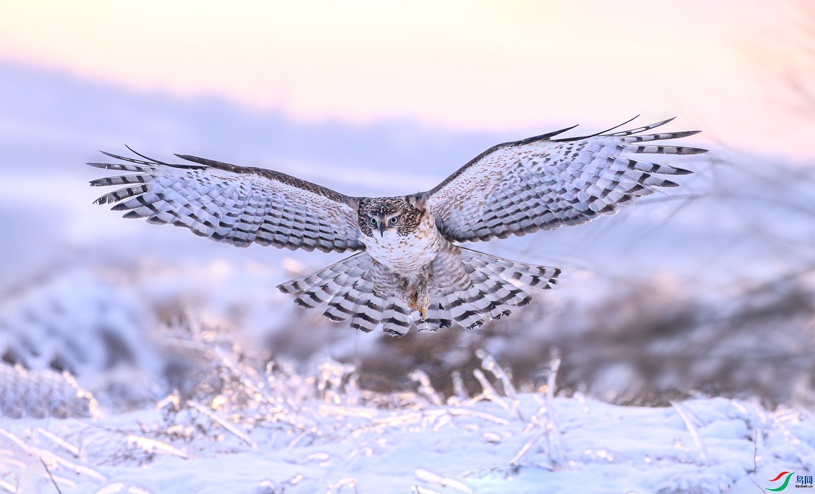 125132dxzi1lia6ajxlm3l (1).jpg