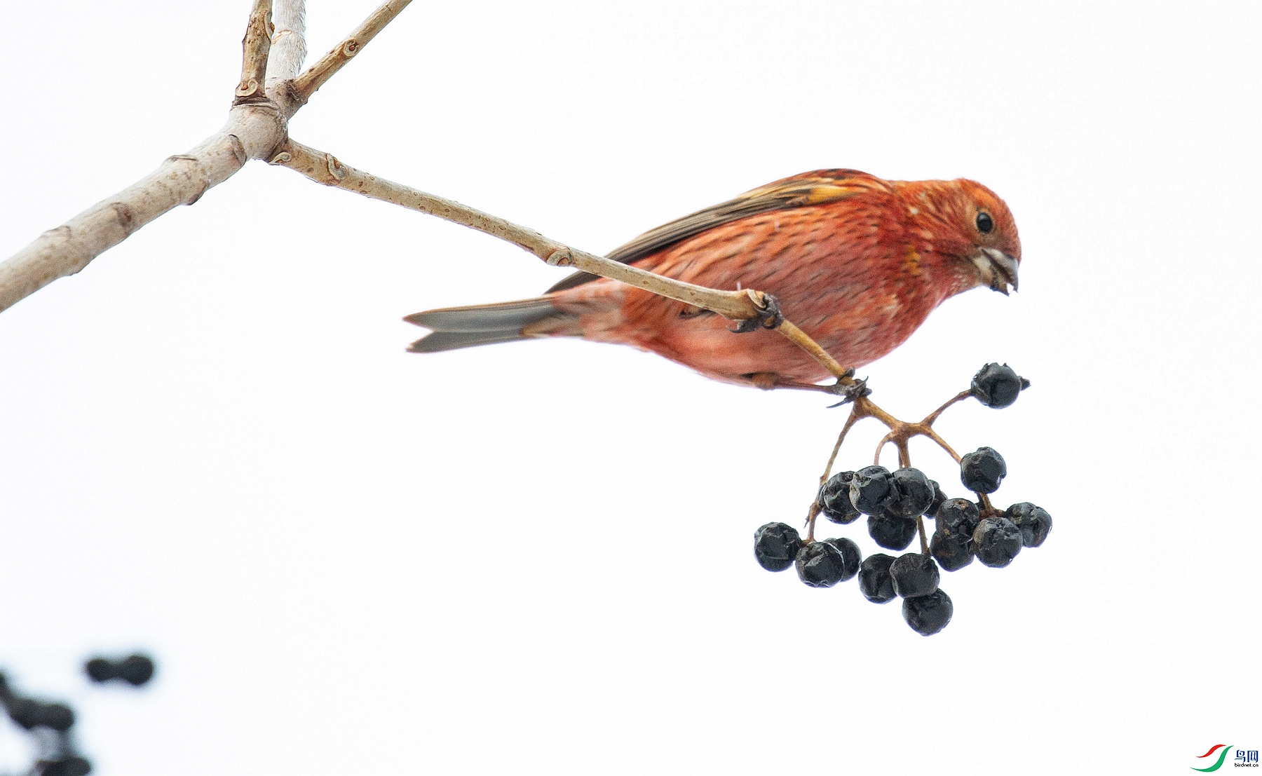 ��ͨ��ȸ �� �� ��.jpg