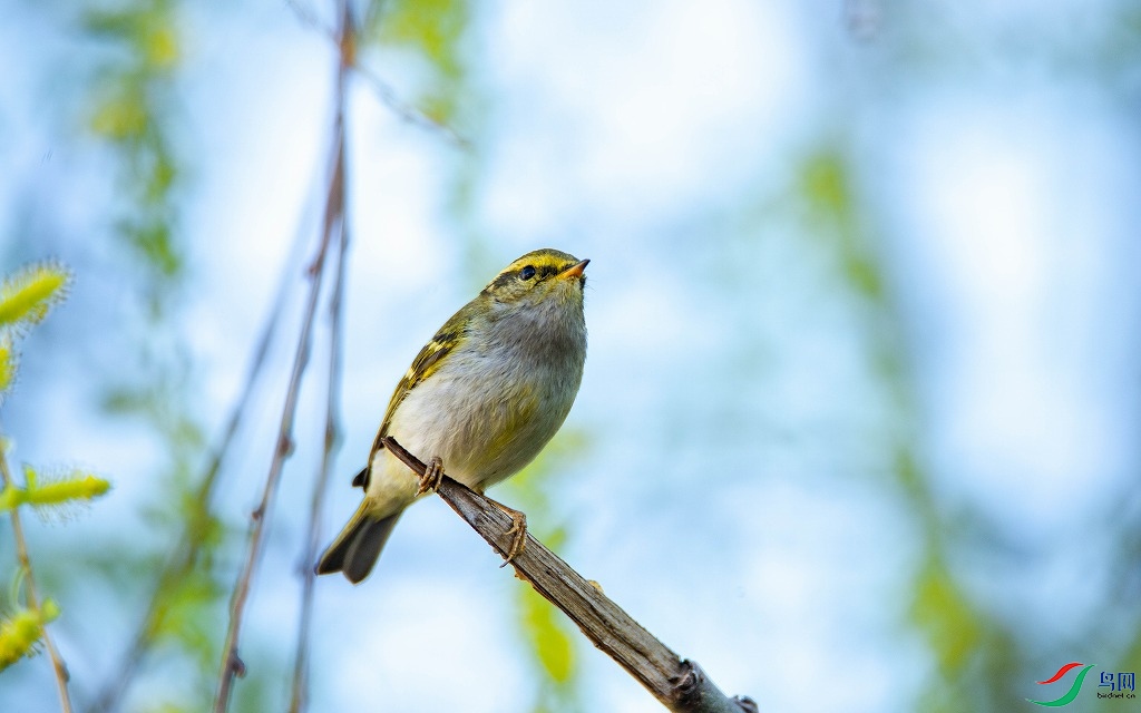 DSC_9357.jpg