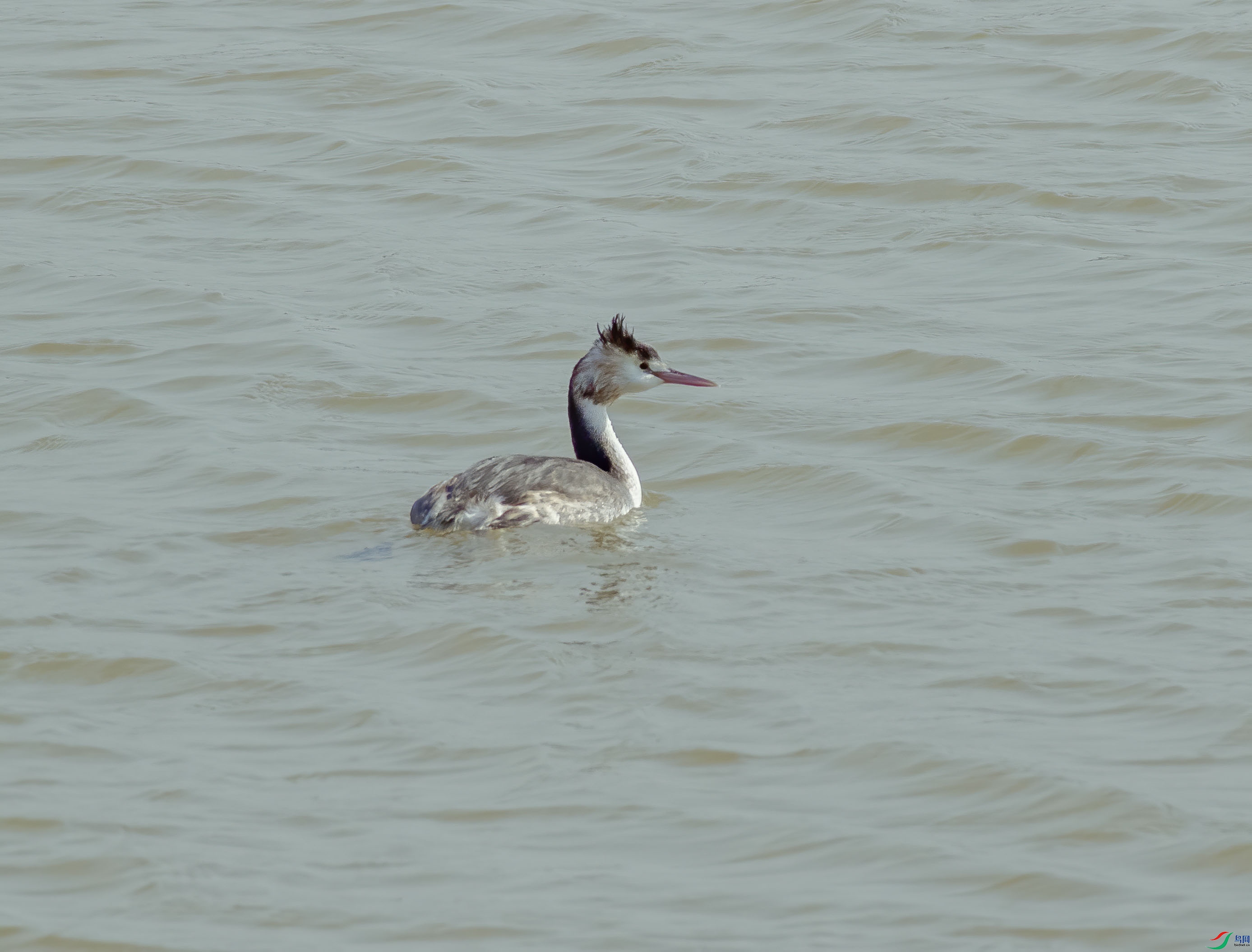 K7D05975.jpg