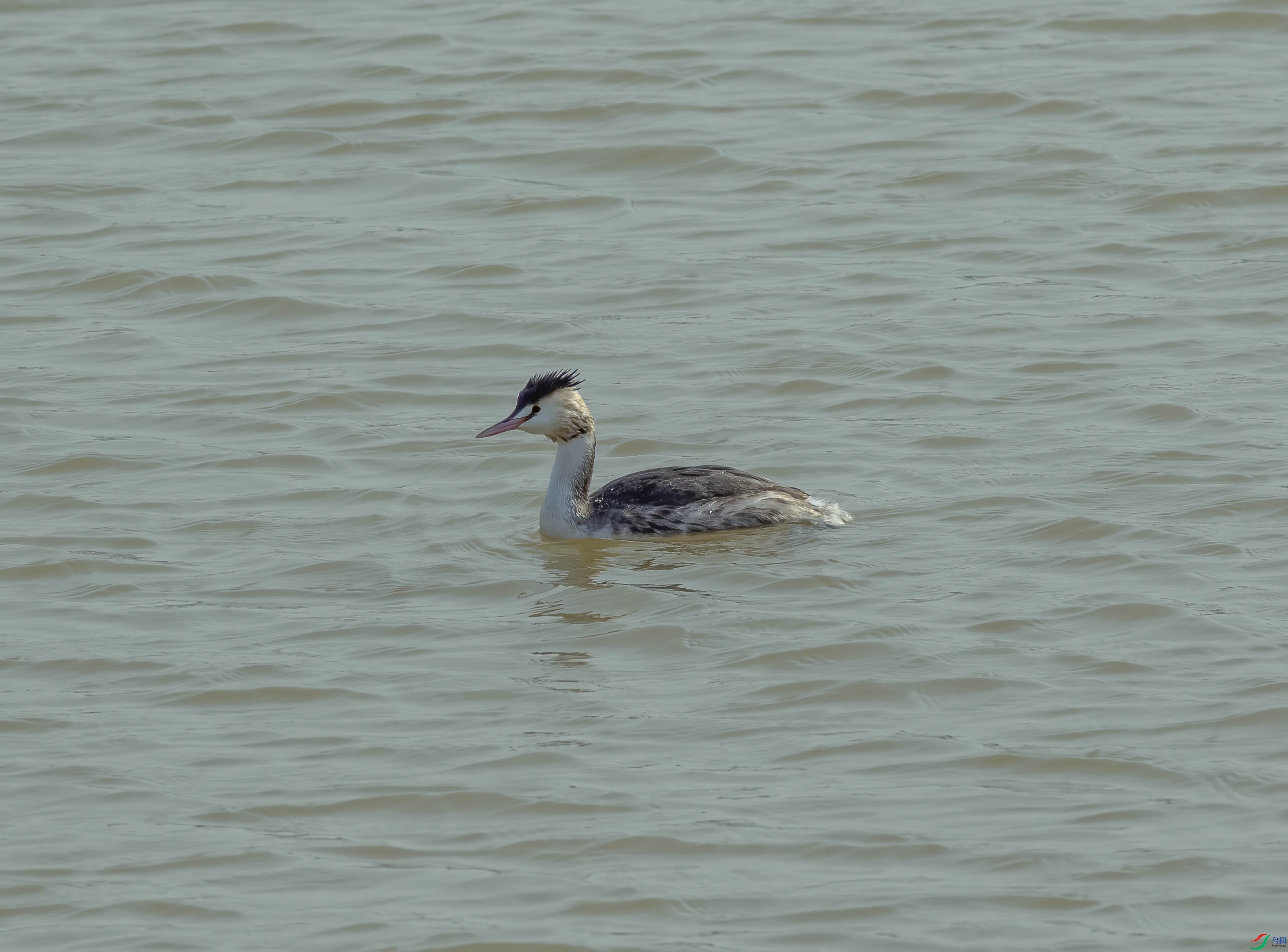 K7D05973.jpg