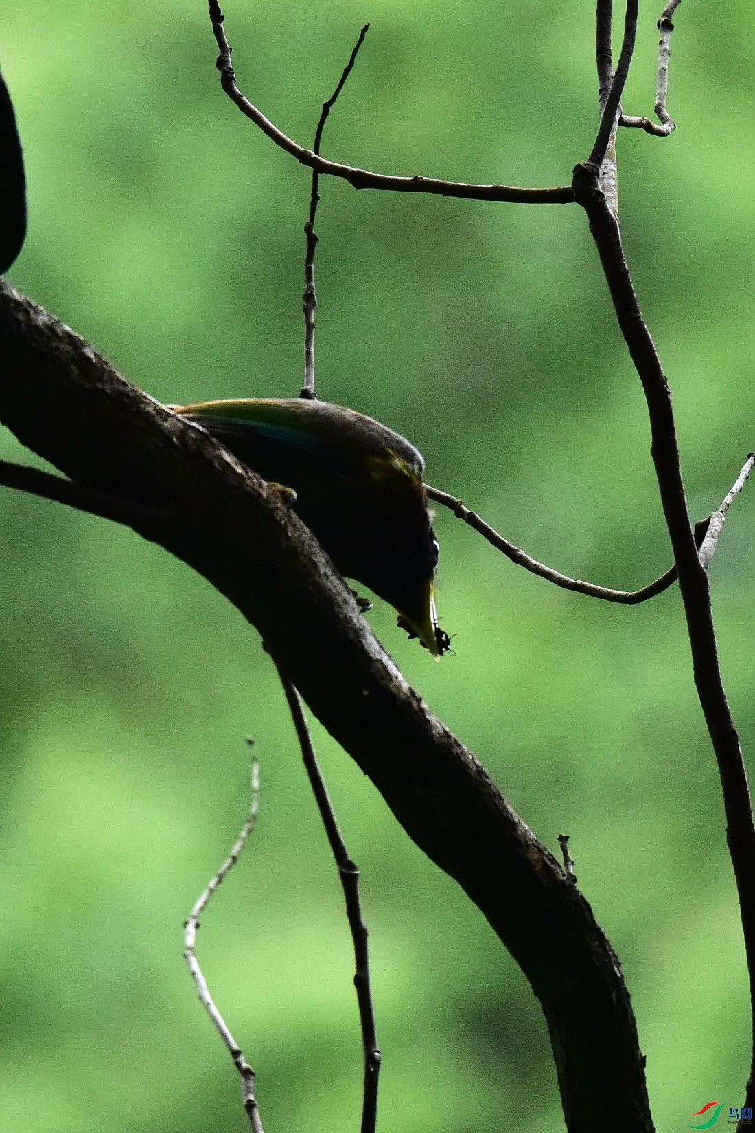 DSC_0913.JPG