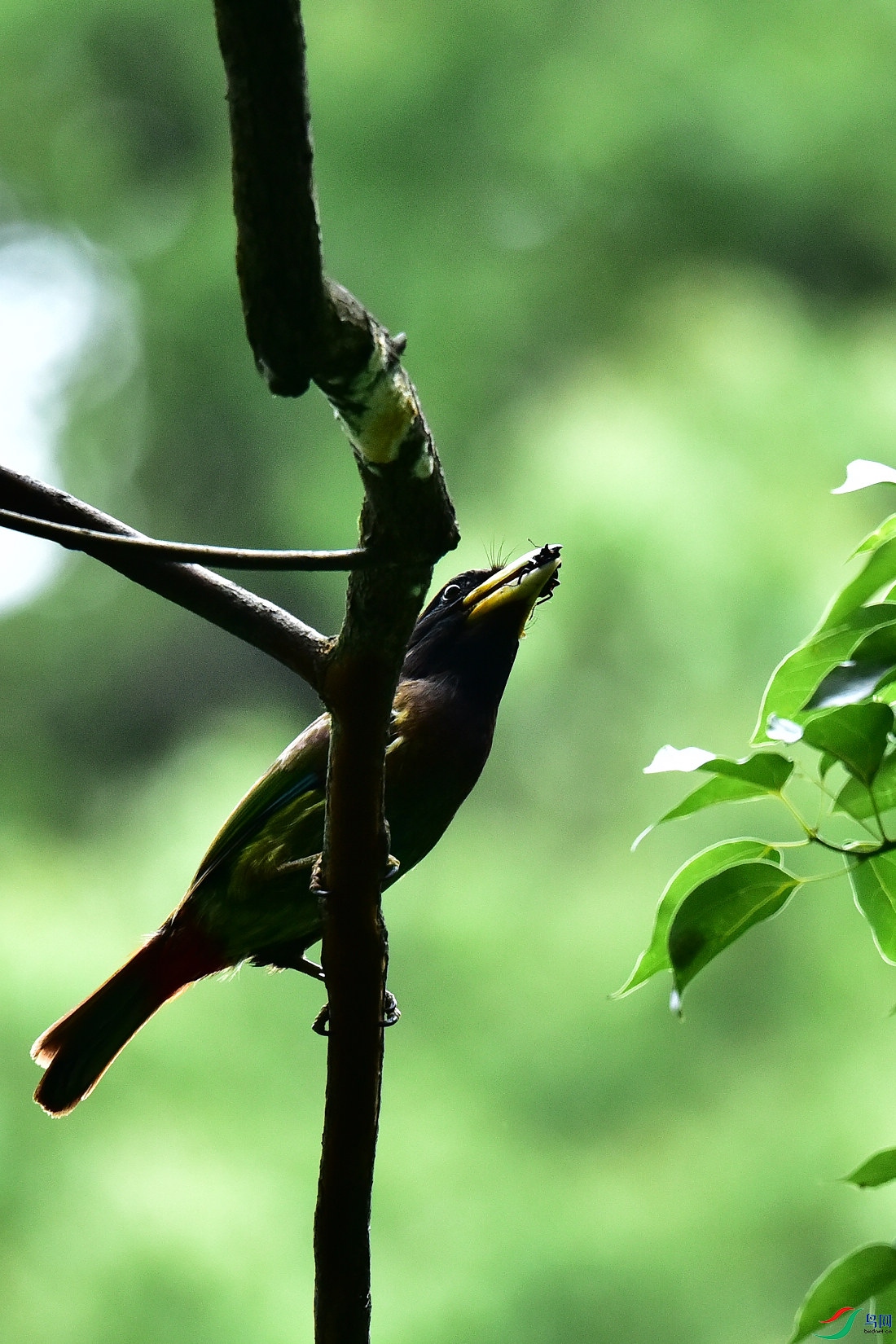 DSC_0916.JPG