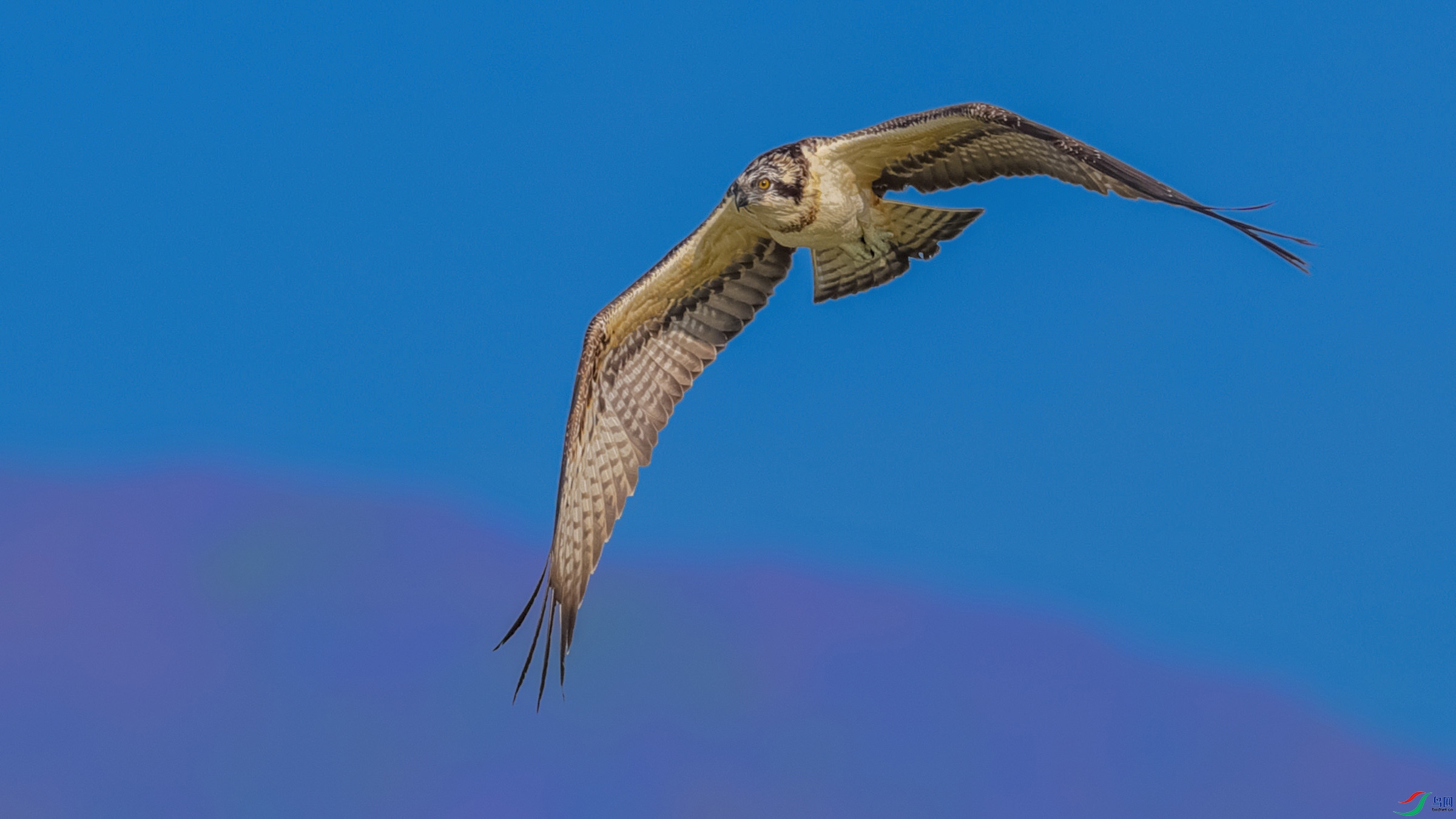 AQ8I6128-2400.jpg