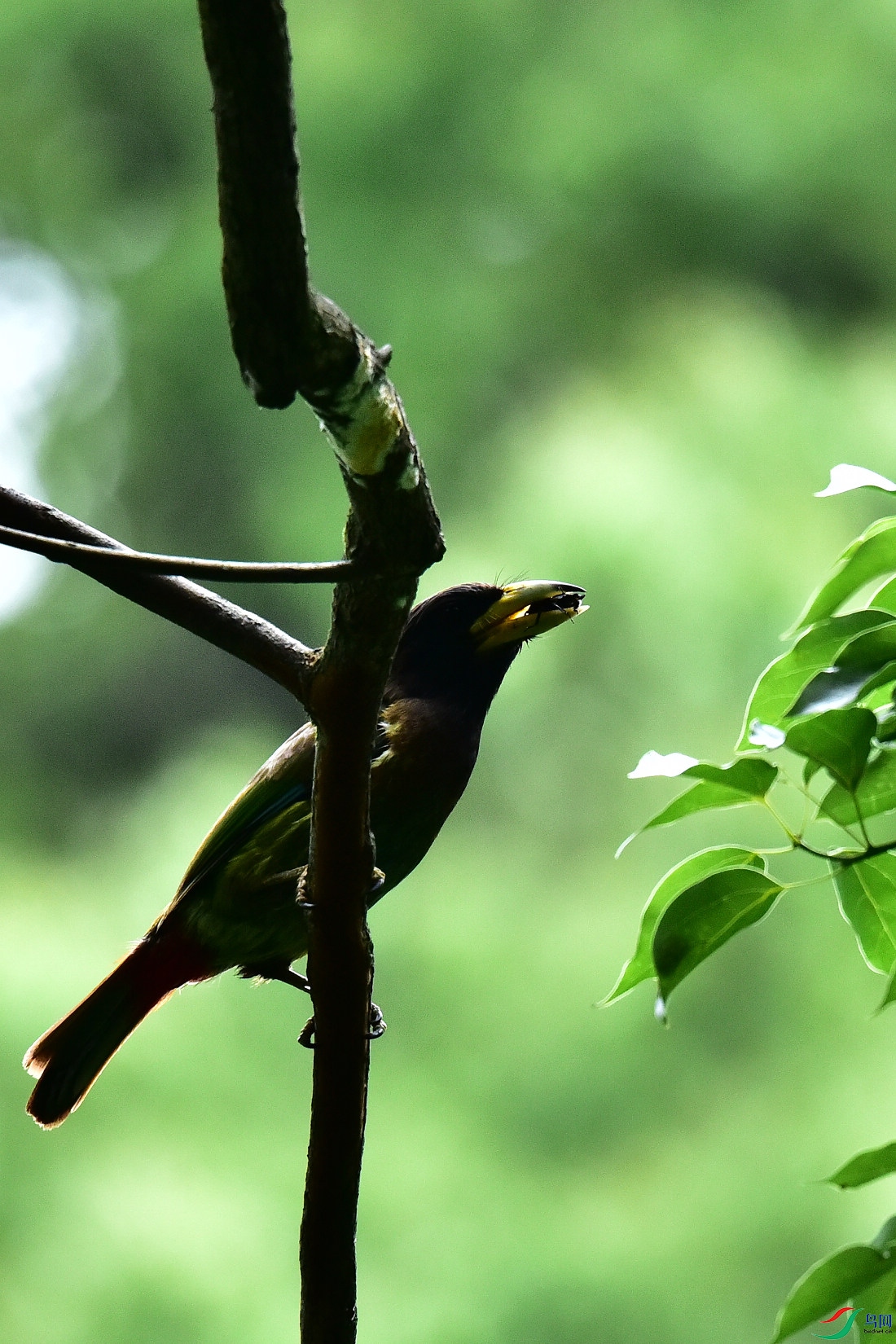 DSC_0917.JPG